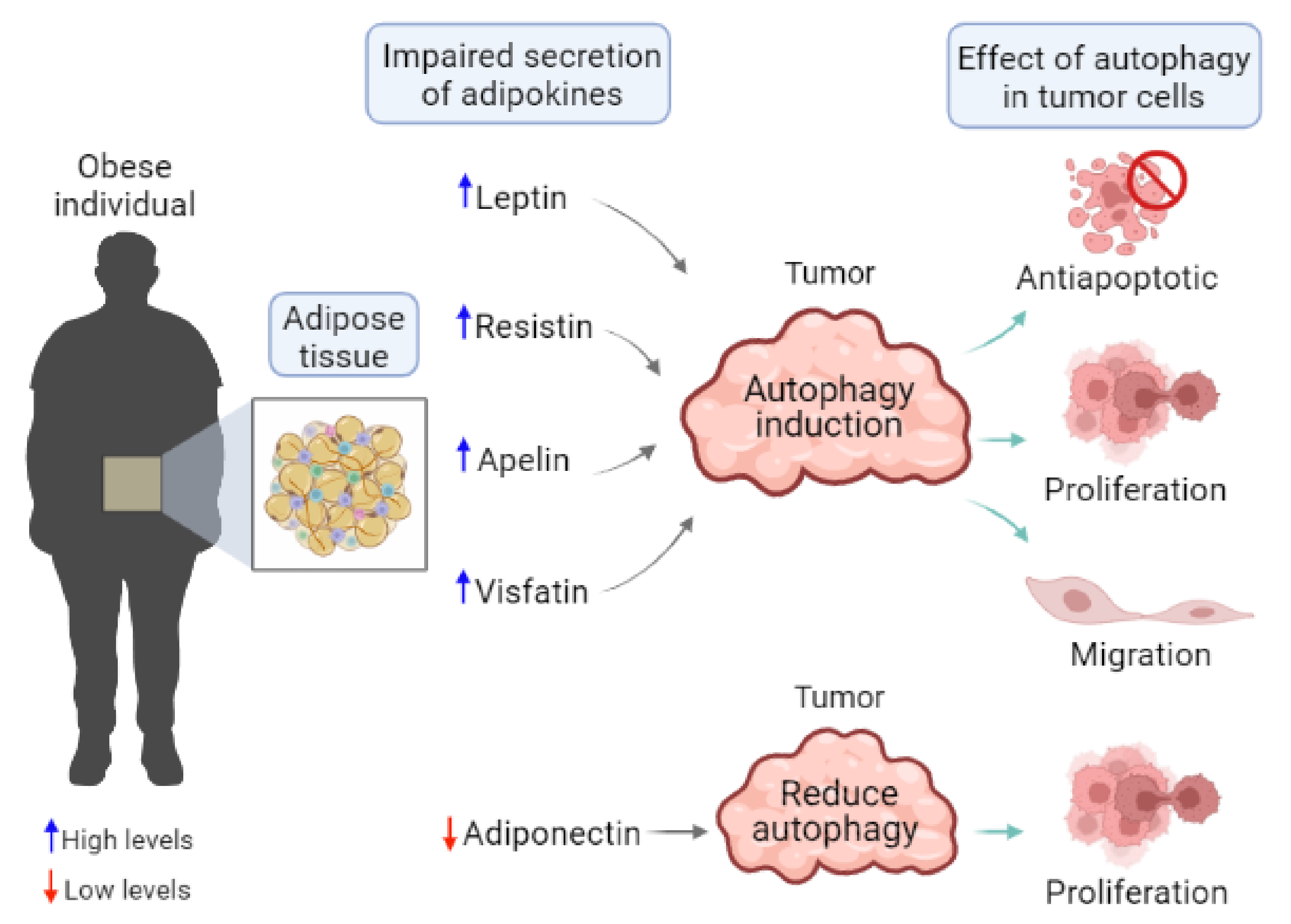 Cells 11 03230 g003 Cells 11 03230 g003