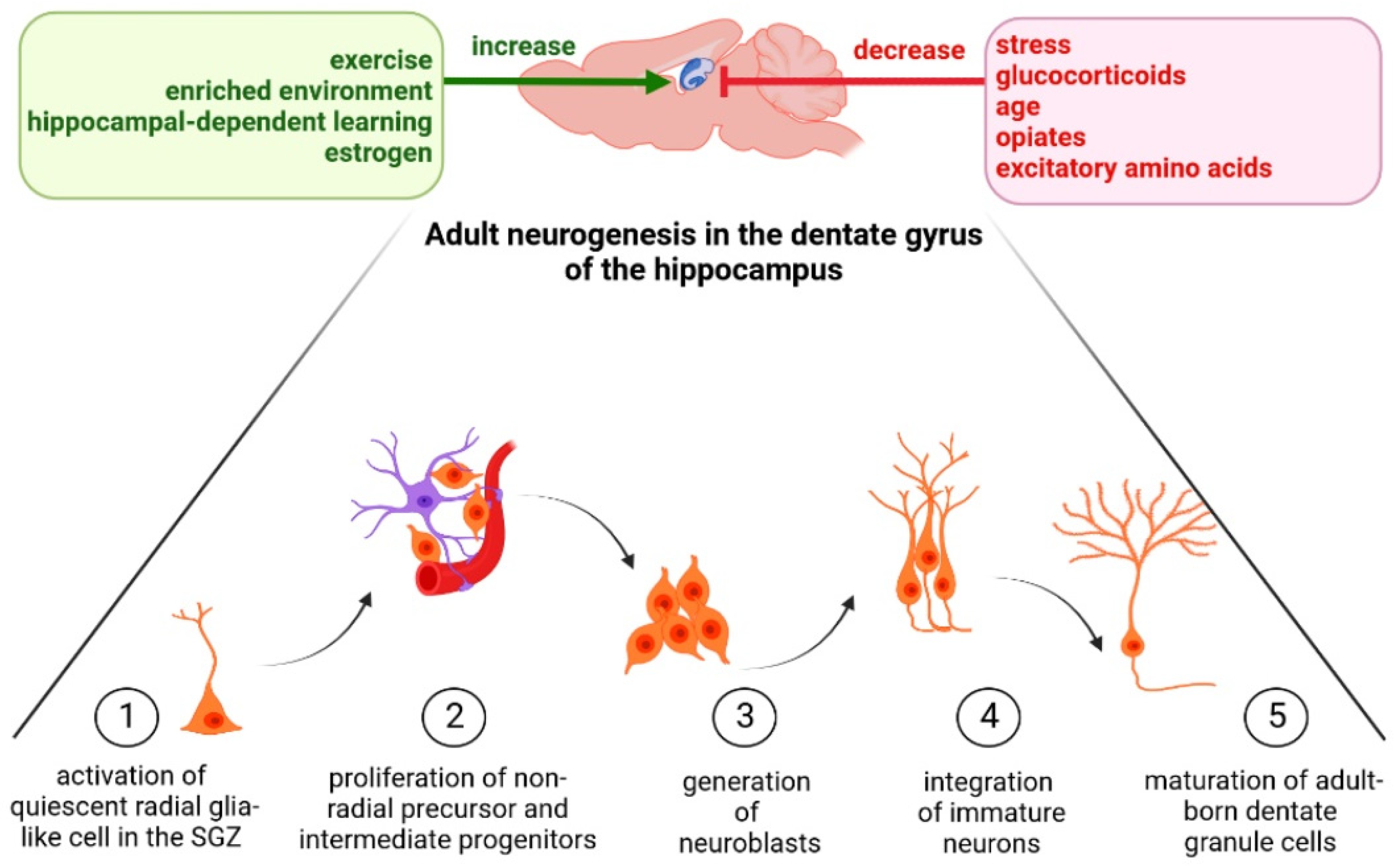 Cells 11 03234 g001 Cells 11 03234 g001