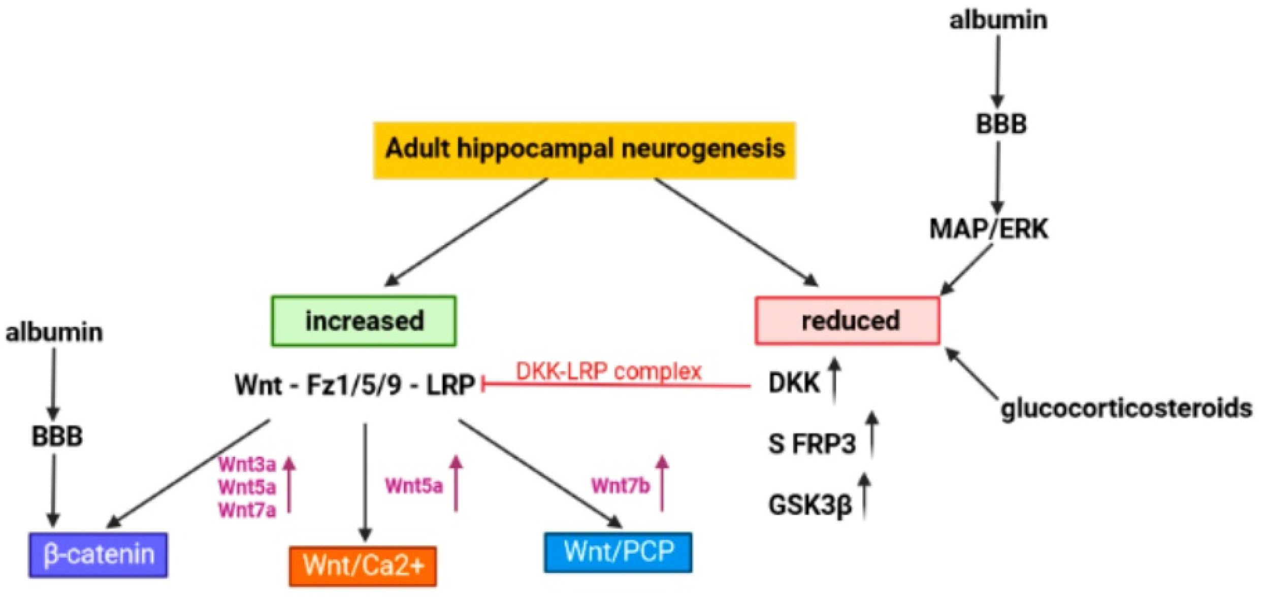 Cells 11 03234 g002 Cells 11 03234 g002