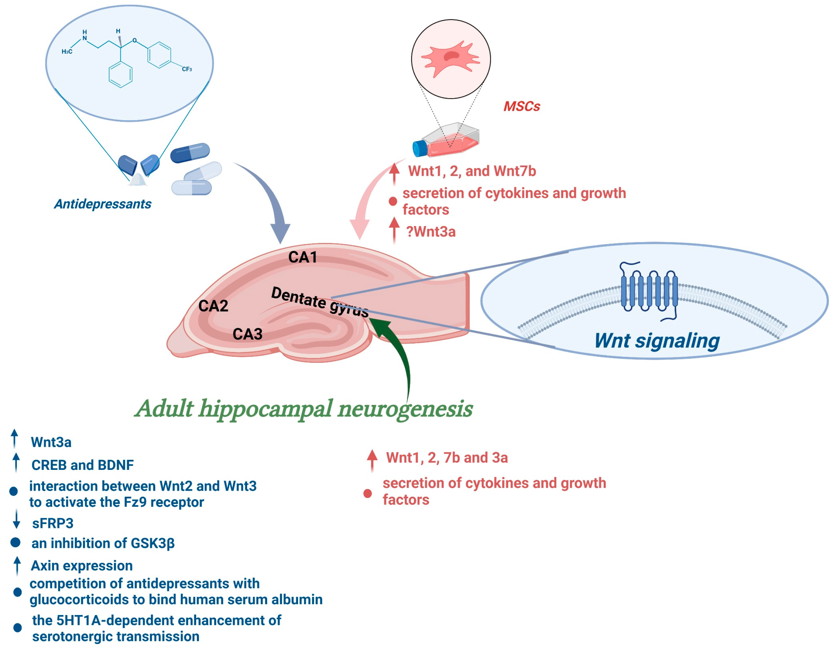 Cells 11 03234 g003 Cells 11 03234 g003