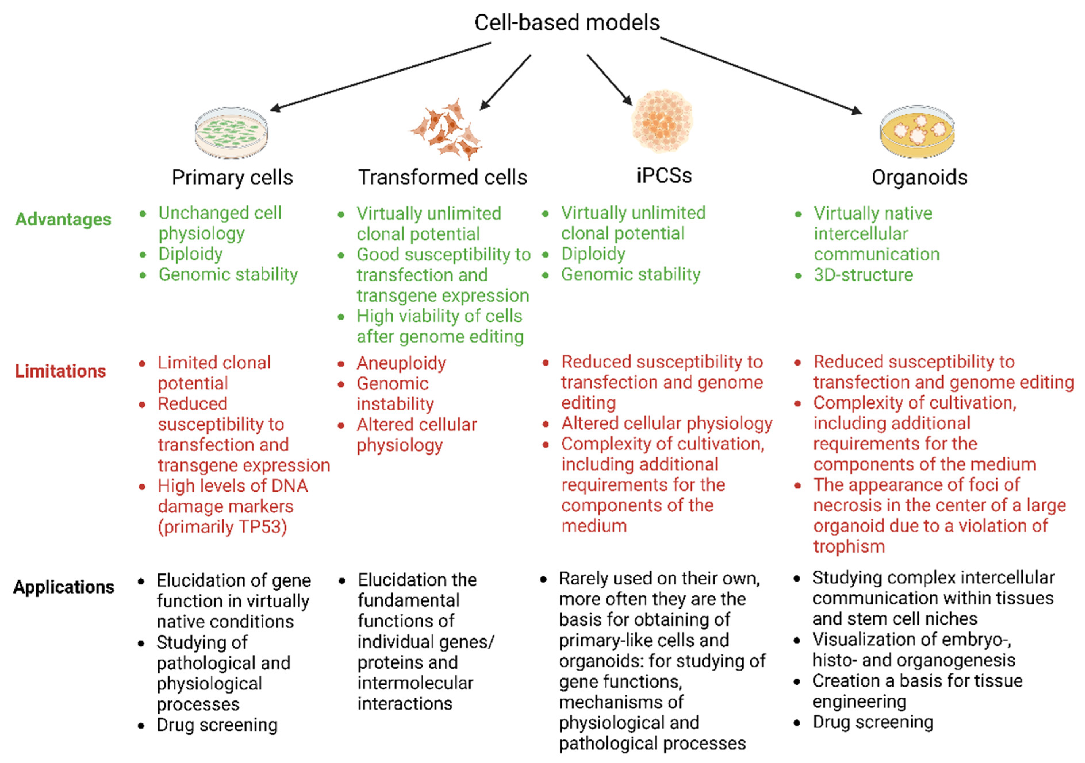 Cells 11 03235 g001 Cells 11 03235 g001