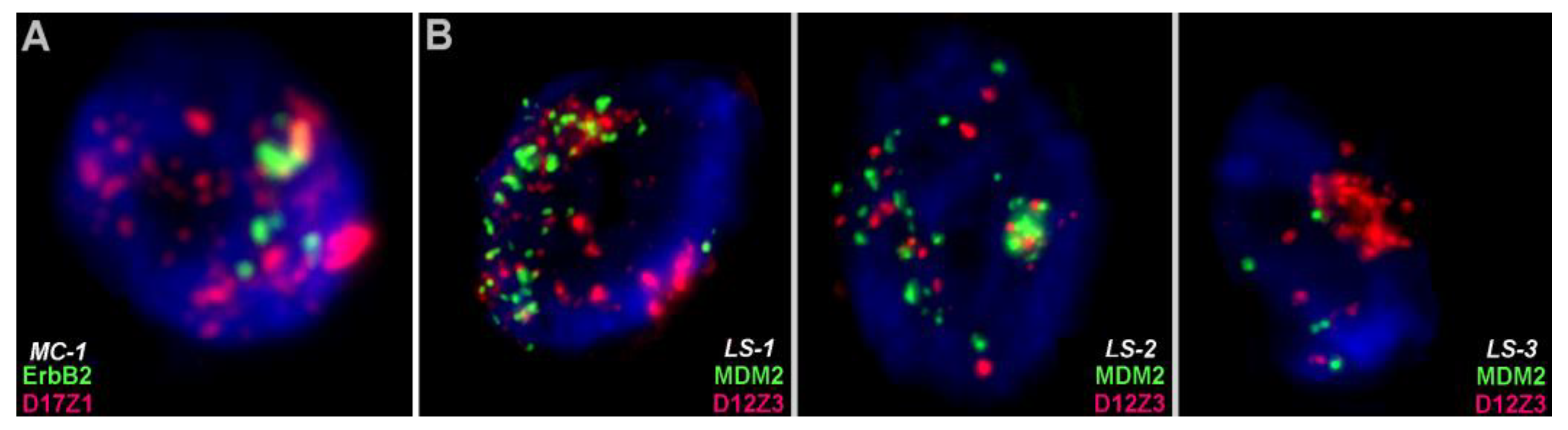 Cells 11 03239 g003 Cells 11 03239 g003