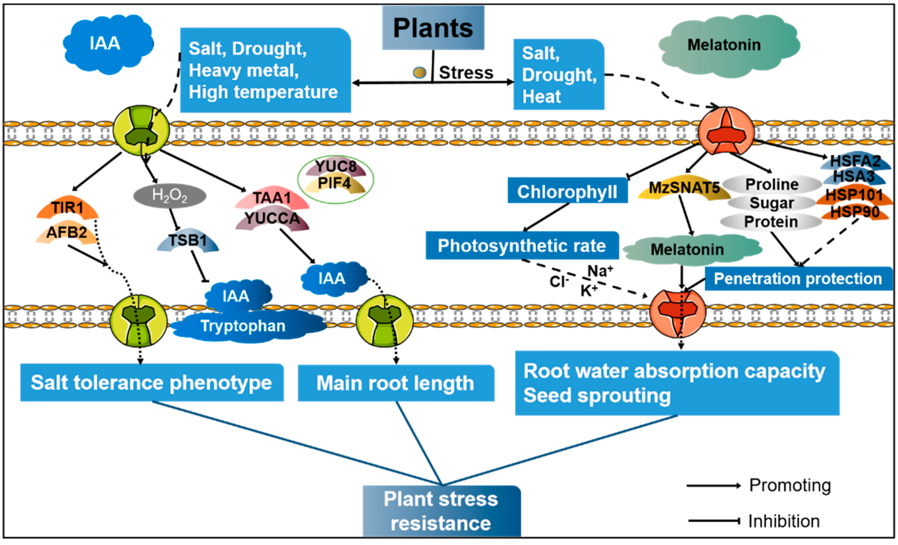 Cells 11 03250 g005 Cells 11 03250 g005