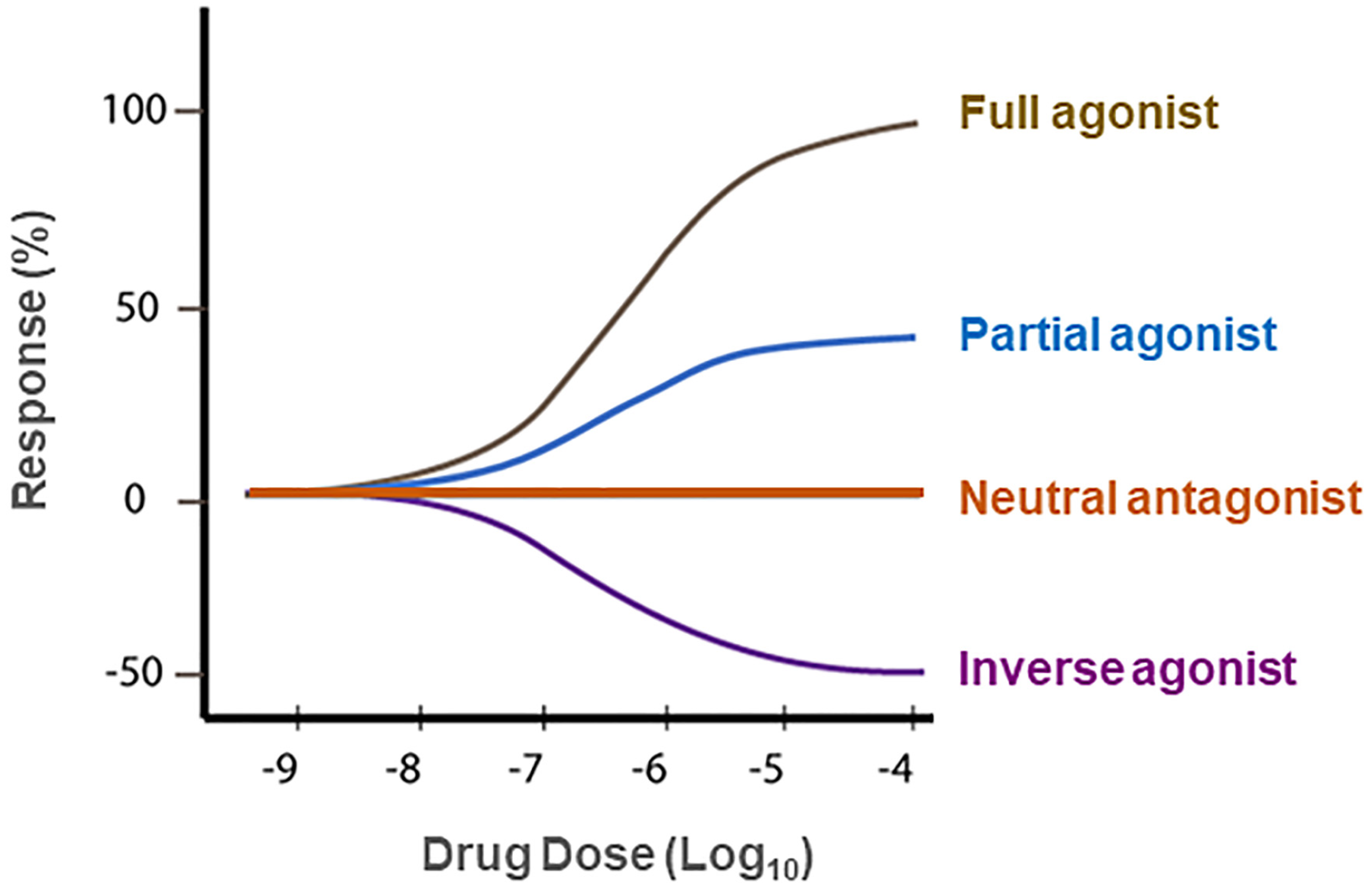 Cells 11 03262 g003 Cells 11 03262 g003