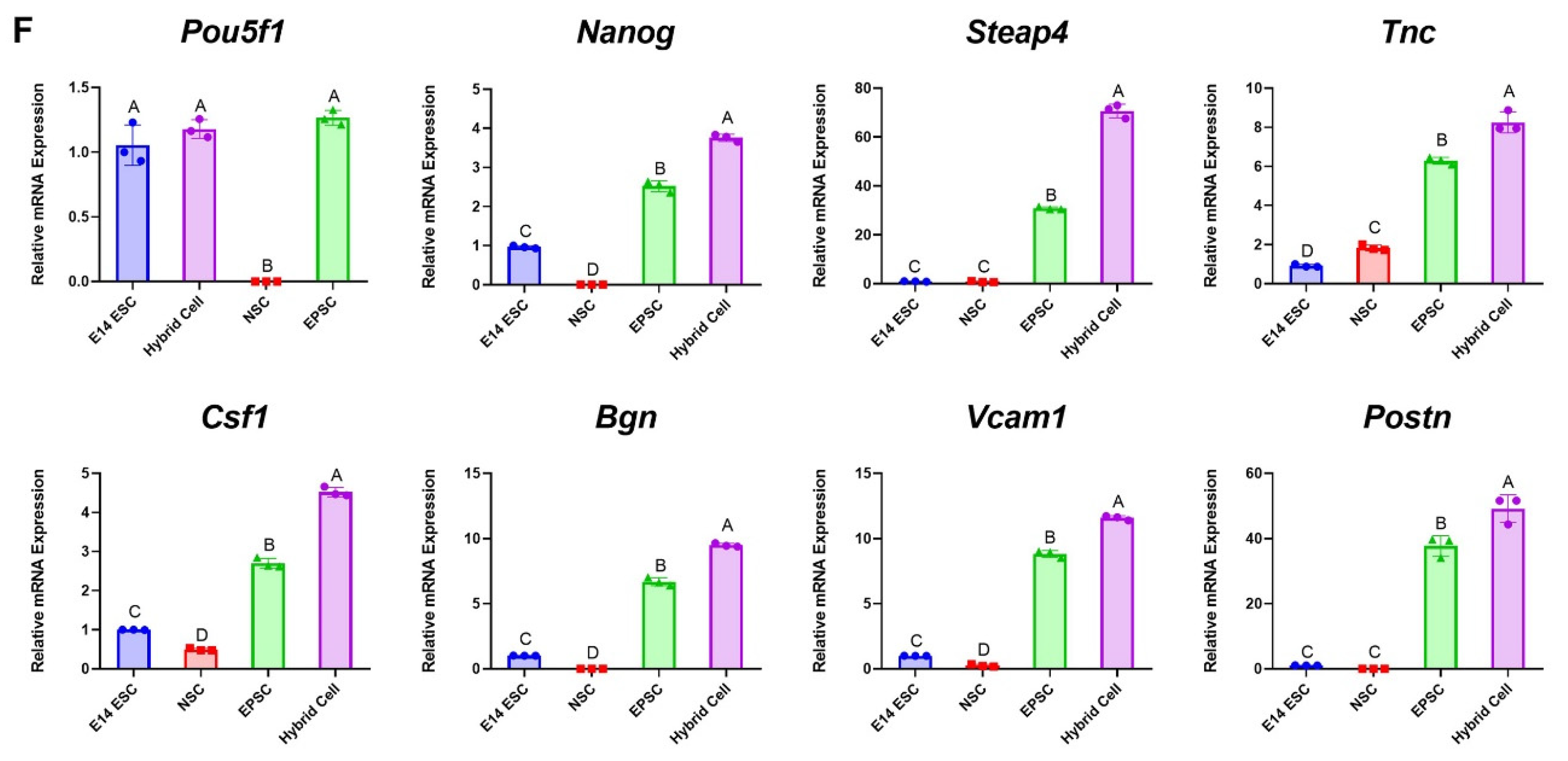 Cells 11 03266 g002b Cells 11 03266 g002b