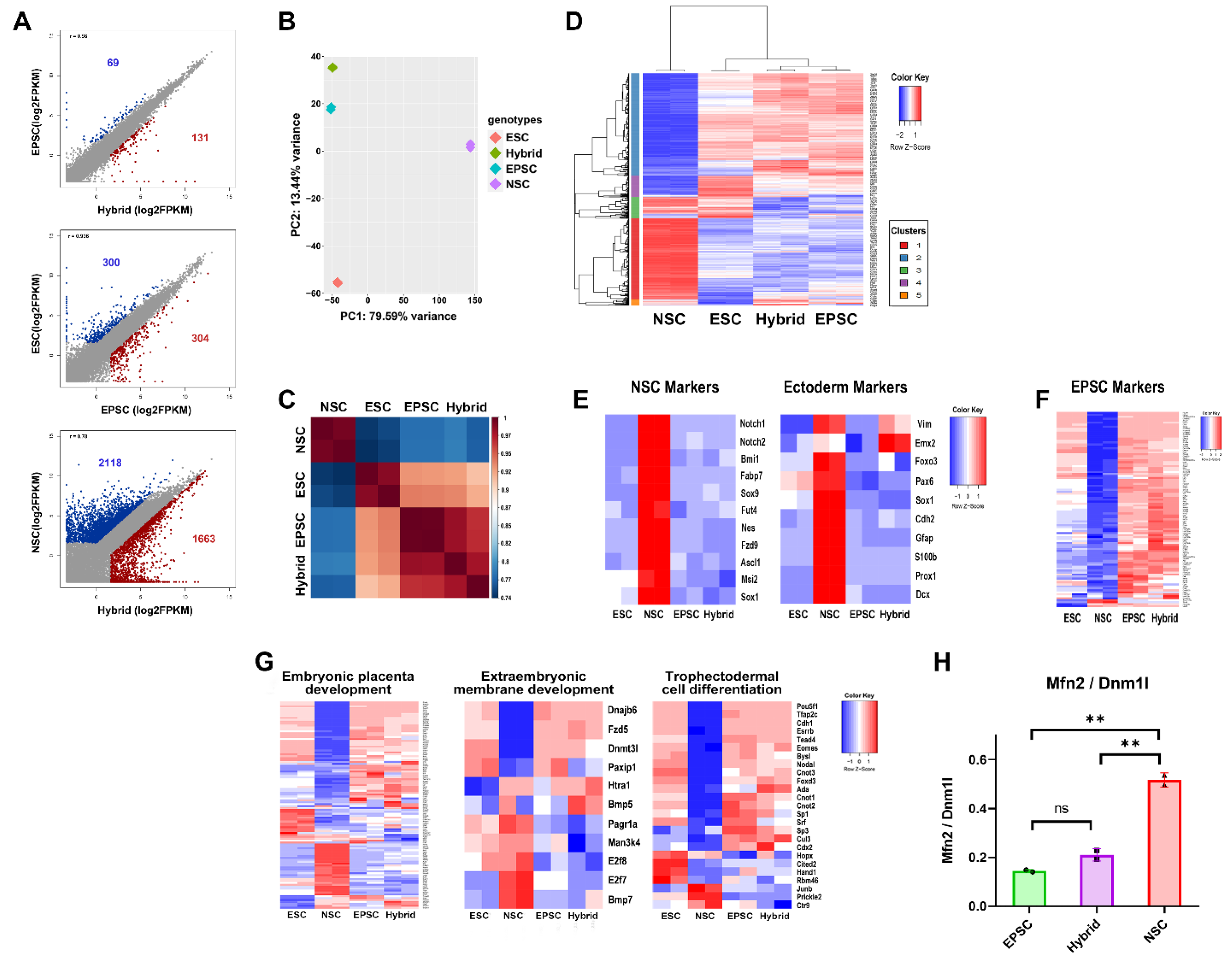Cells 11 03266 g004 Cells 11 03266 g004