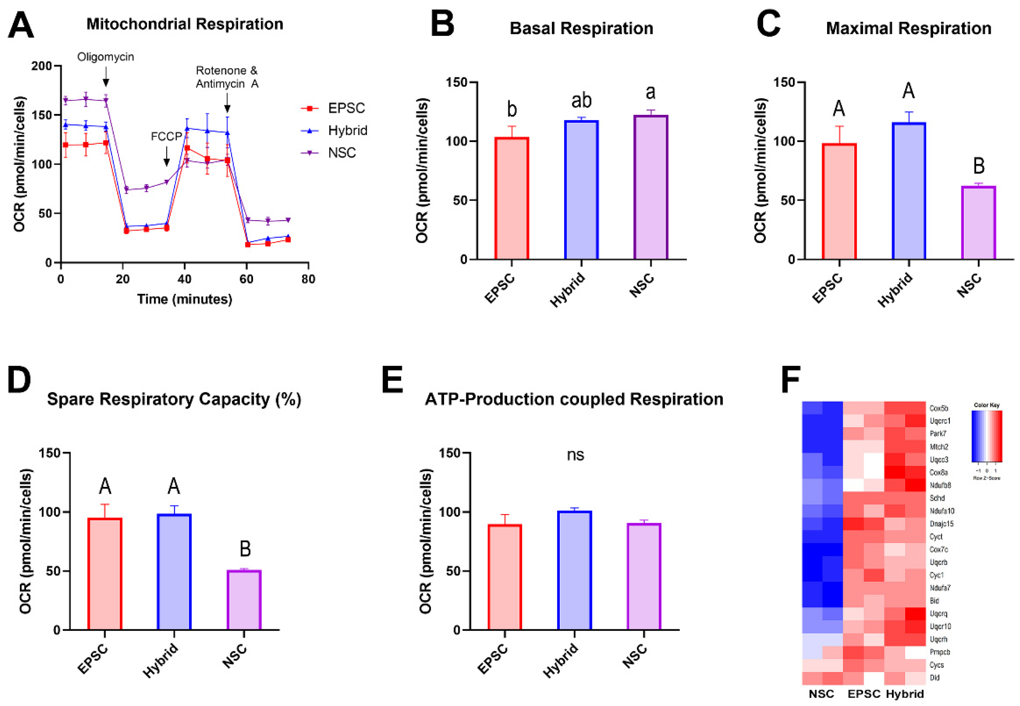 Cells 11 03266 g006 Cells 11 03266 g006