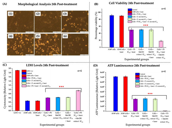 Cells | Free Full-Text | In Vitro Cell Death Mechanisms Induced By ...