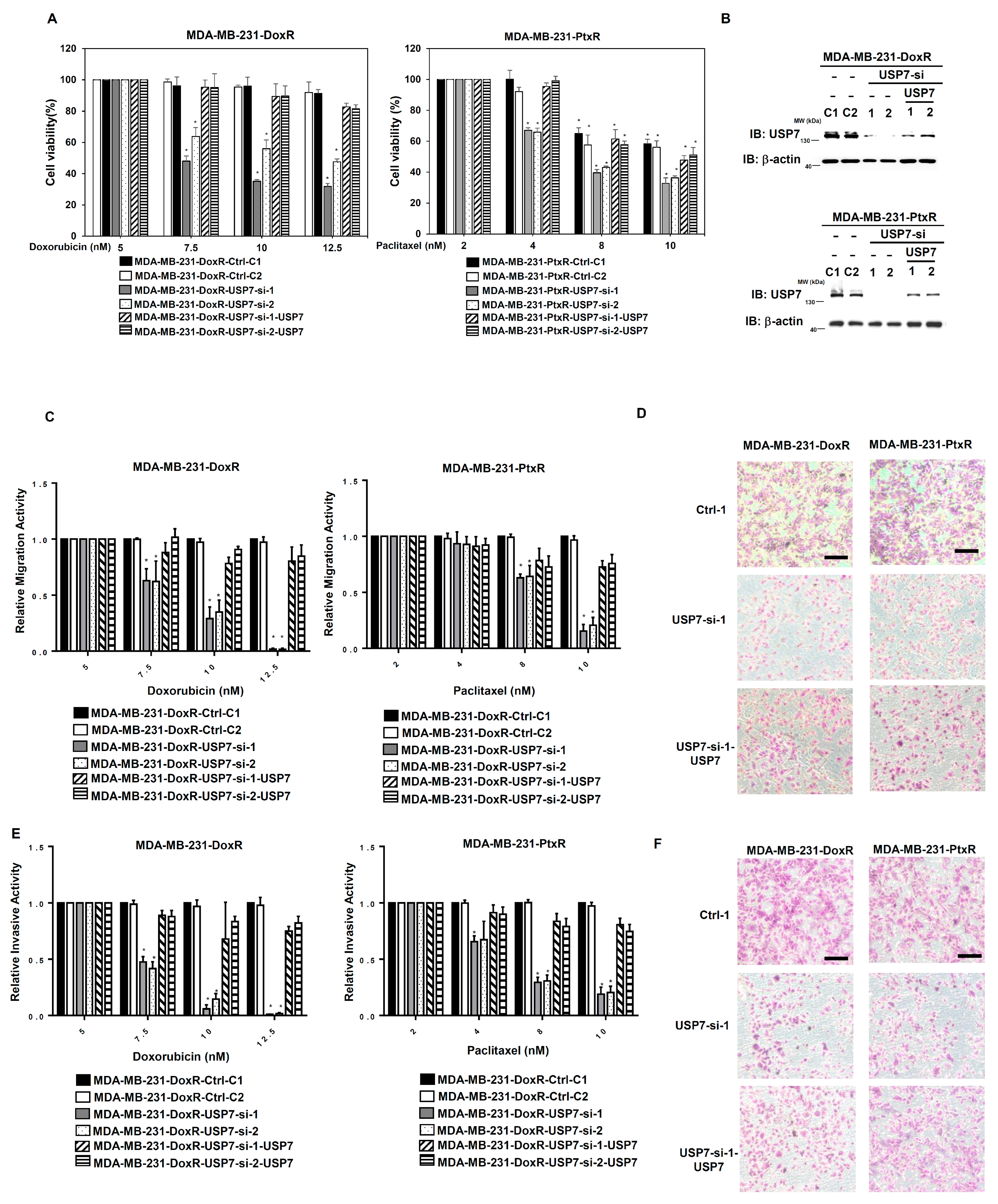 Cells 11 03294 g005 Cells 11 03294 g005