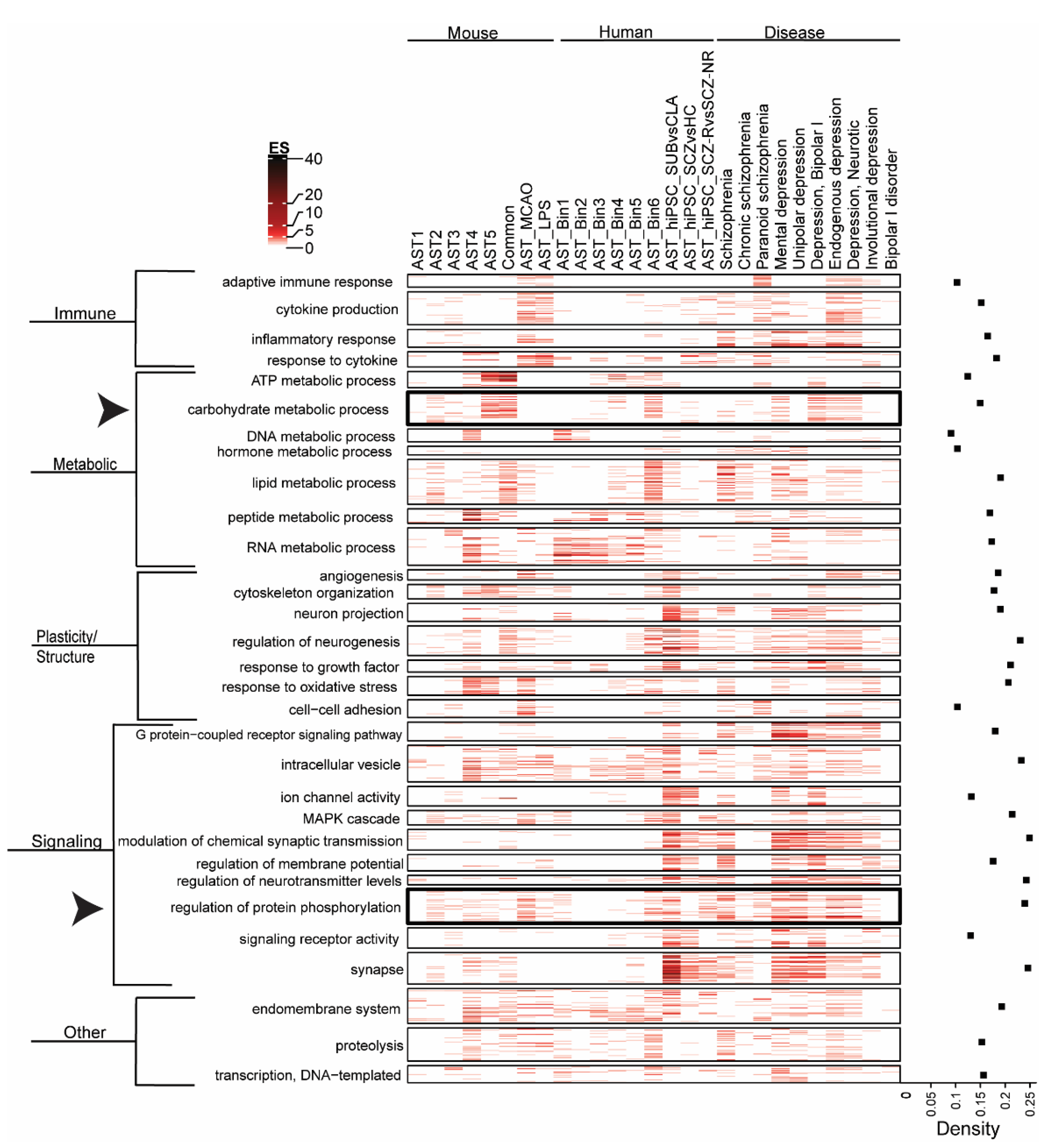 Cells 11 03315 g002 Cells 11 03315 g002