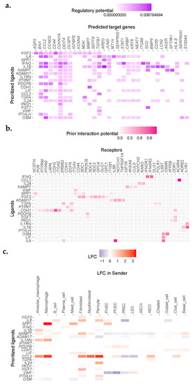 https://www.mdpi.com/cells/cells-11-03319/article_deploy/html/images/cells-11-03319-g003-550.jpg