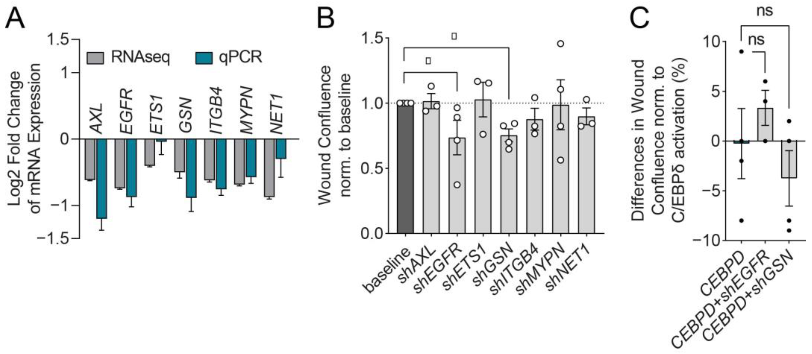 Cells 11 03334 g006 Cells 11 03334 g006