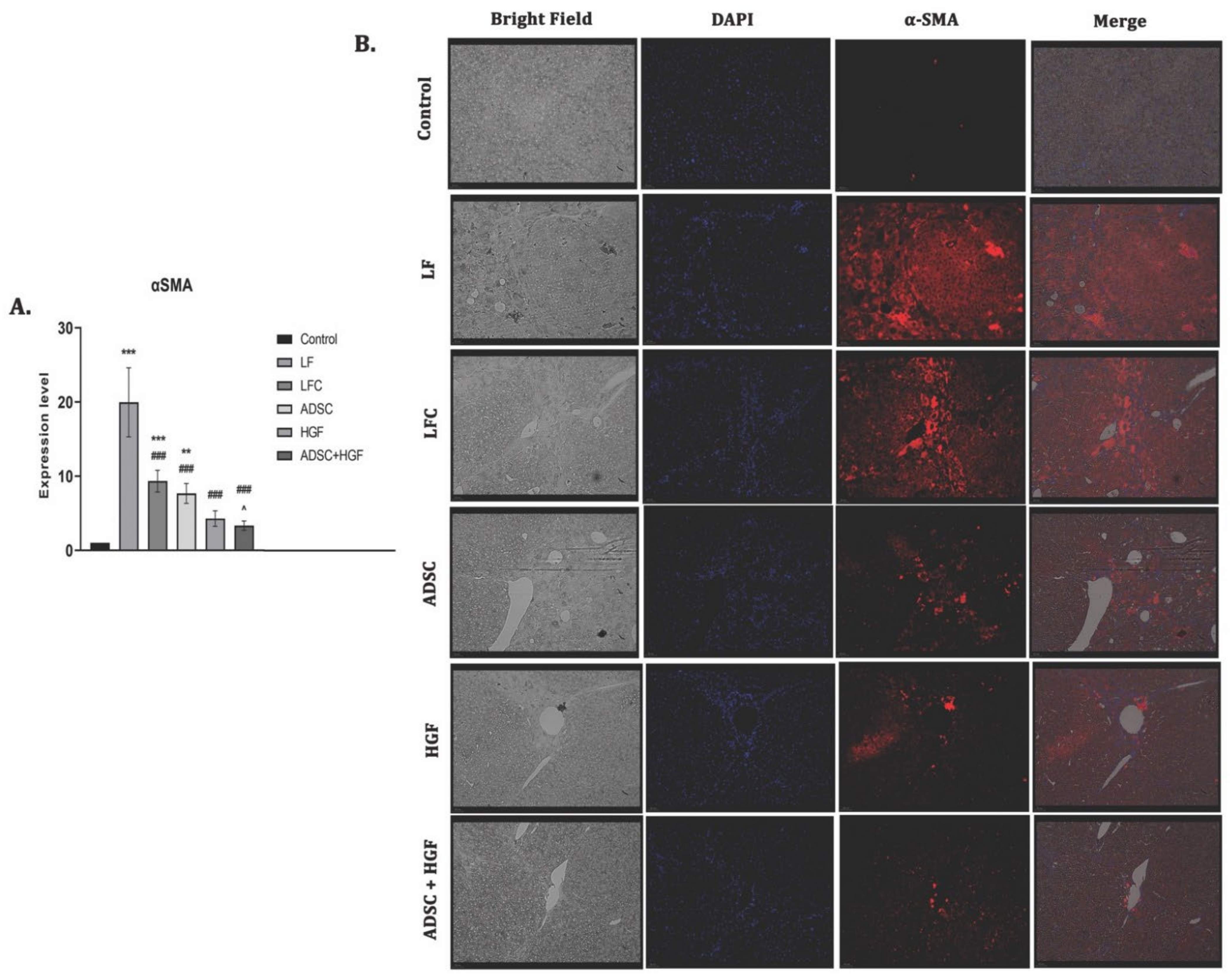 Cells 11 03338 g006 Cells 11 03338 g006