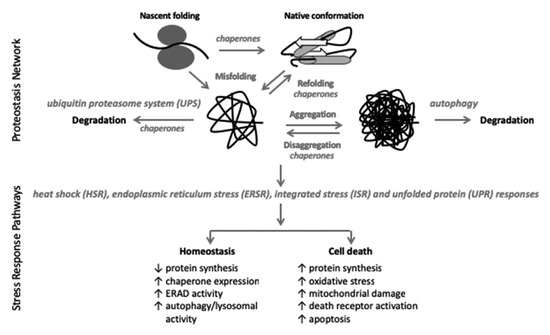 https://www.mdpi.com/cells/cells-11-03339/article_deploy/html/images/cells-11-03339-g001-550.jpg