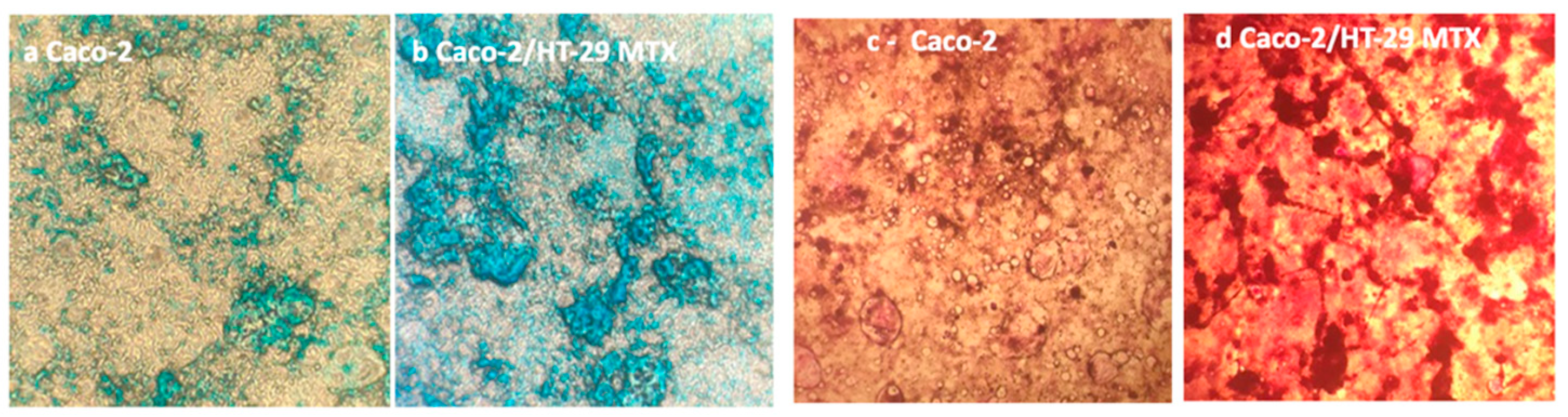 Cells 11 03357 g008 Cells 11 03357 g008