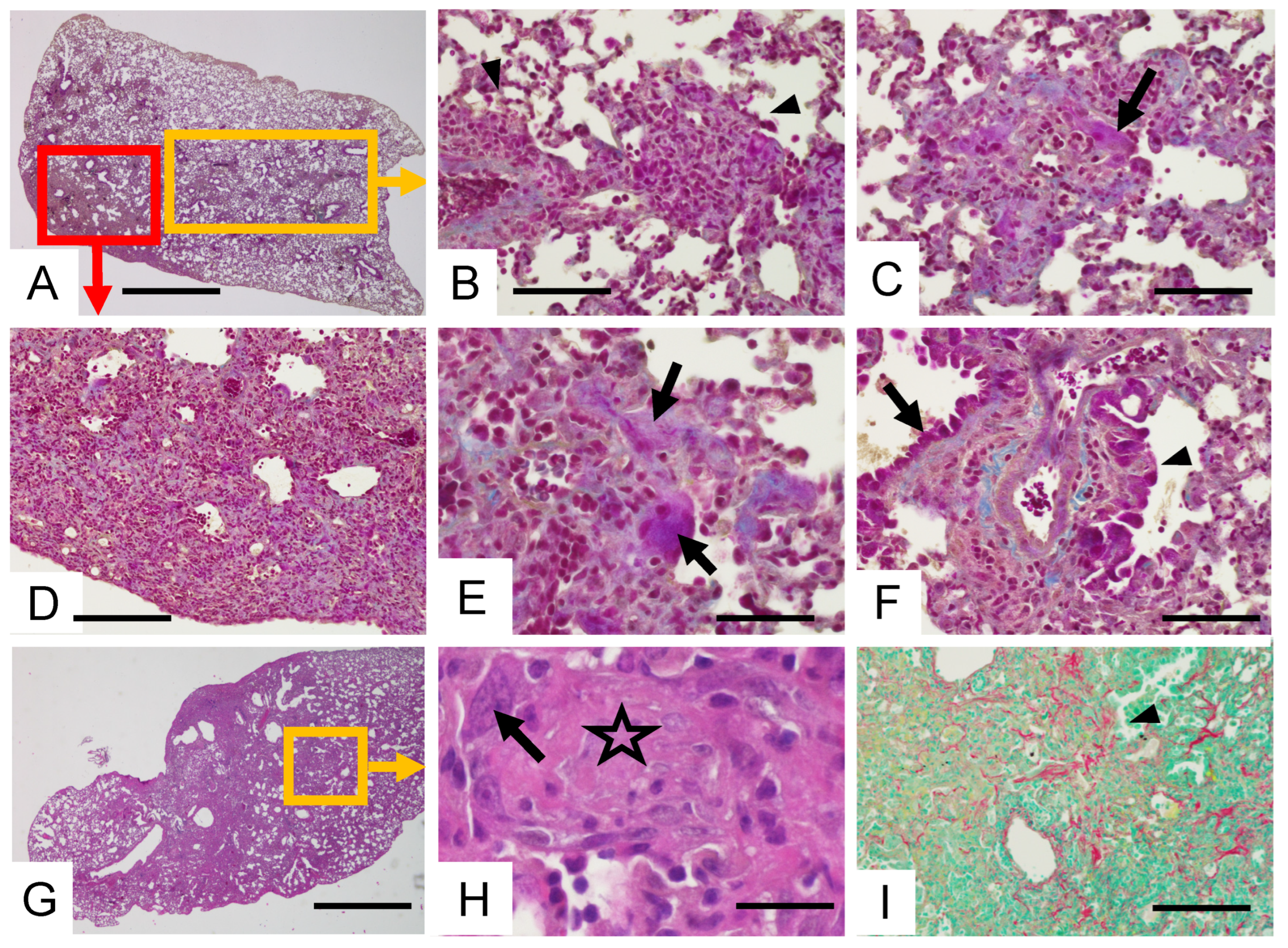 Cells 11 03379 g004 Cells 11 03379 g004