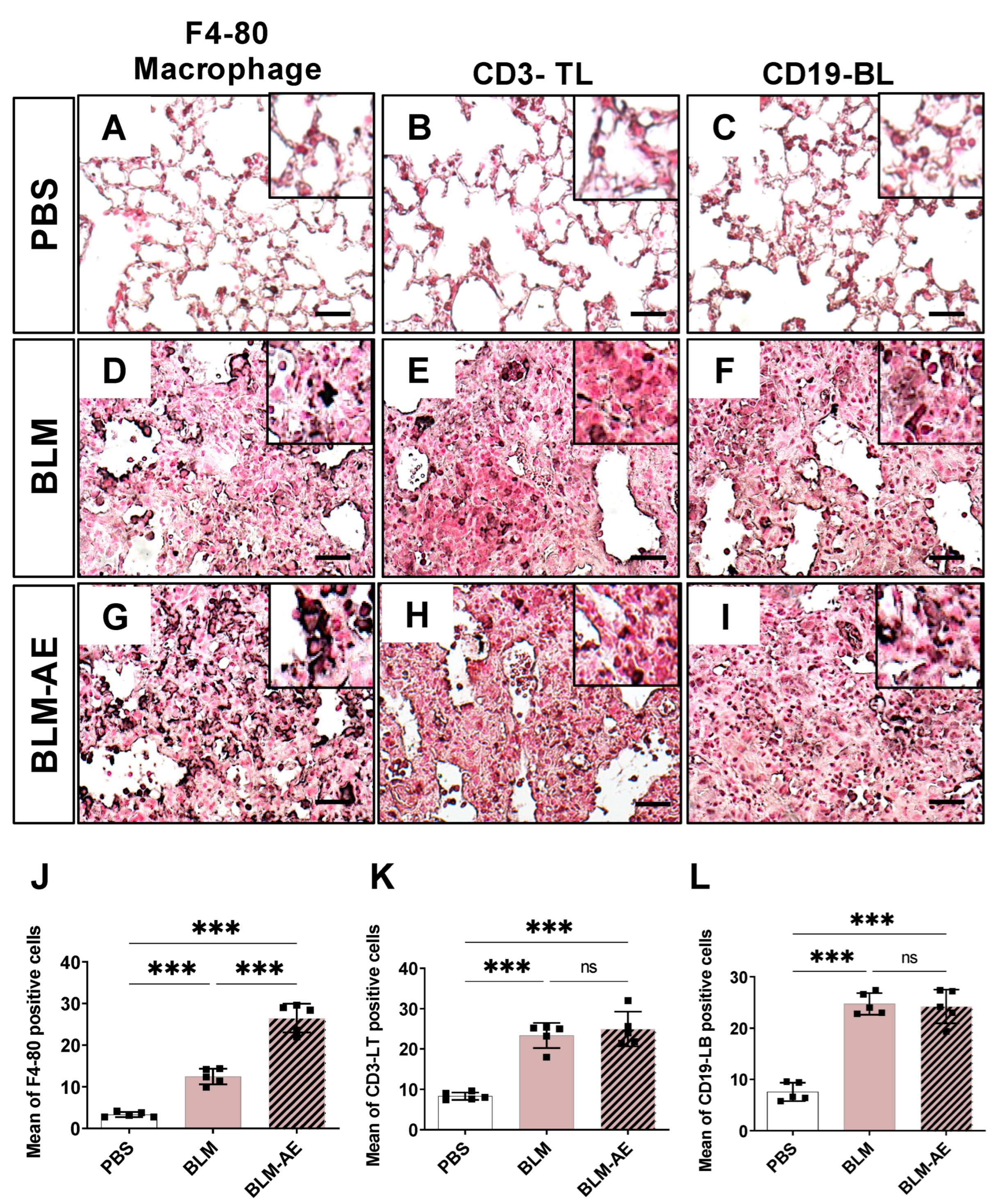 Cells 11 03379 g005 Cells 11 03379 g005