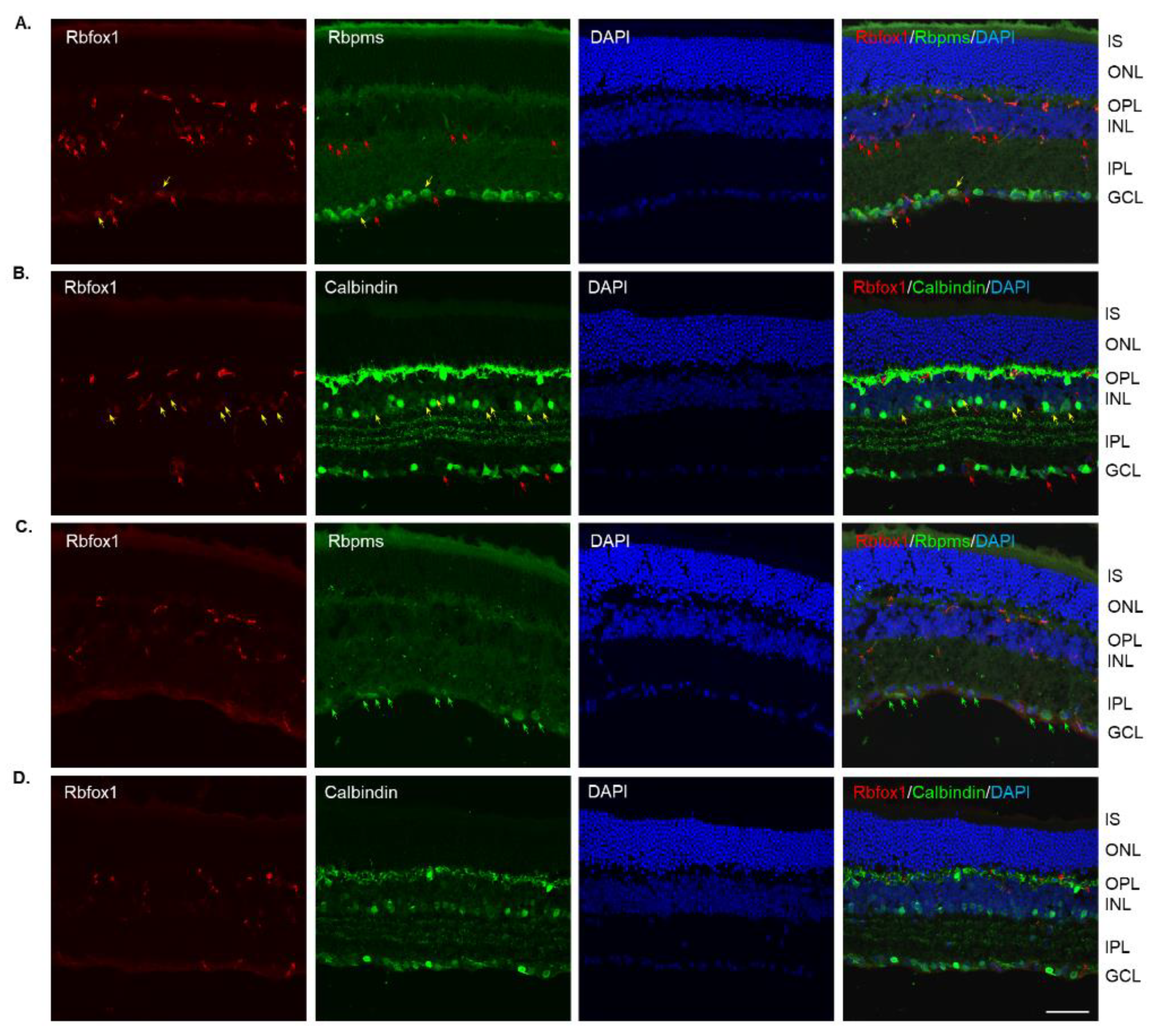 Cells 11 03401 g003