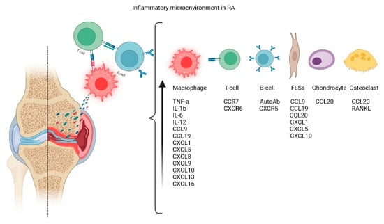 Cells | Free Full-Text | 3D Cell Culture As Tools To Characterize ...