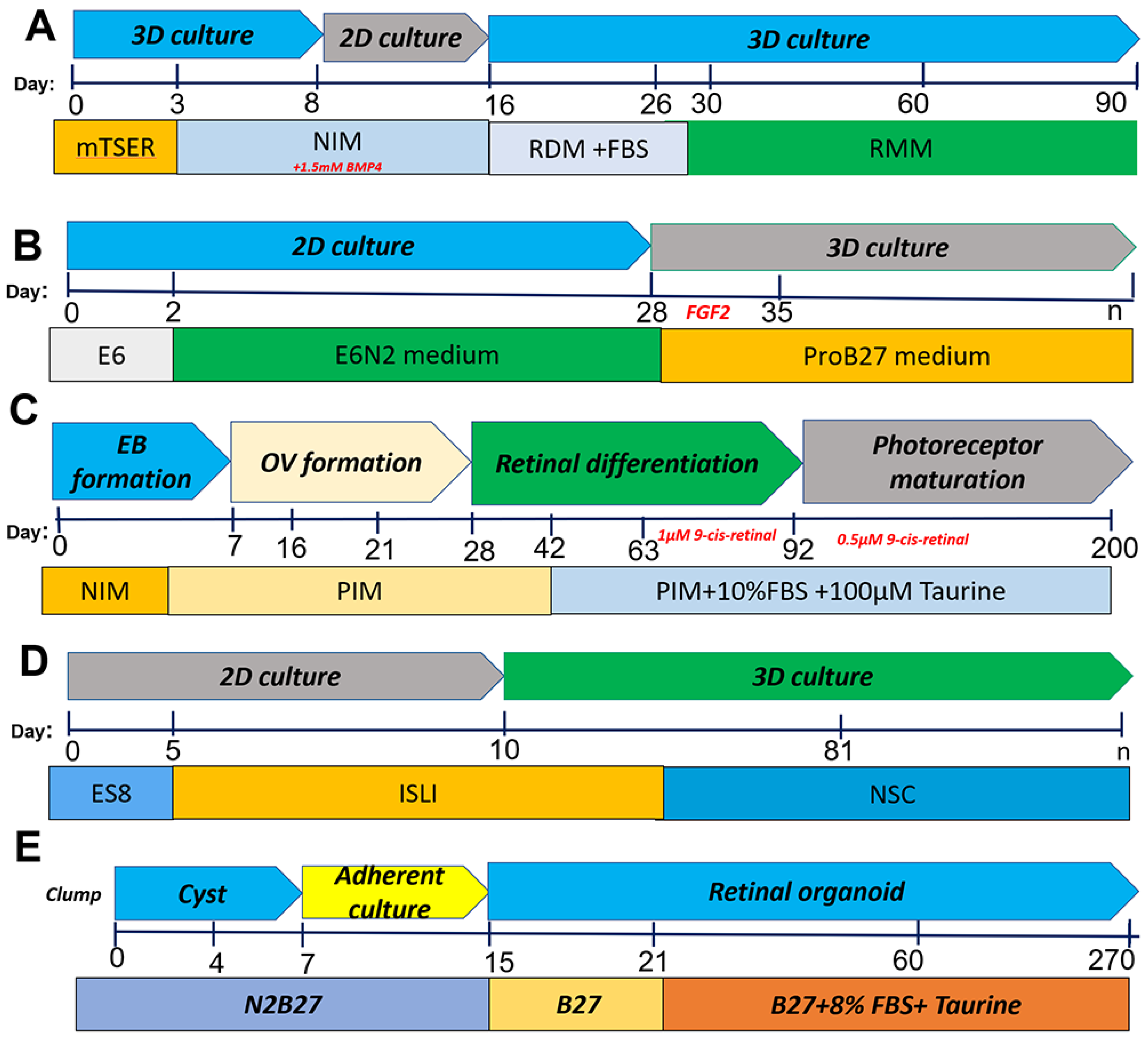 Cells 11 03429 g002 Cells 11 03429 g002