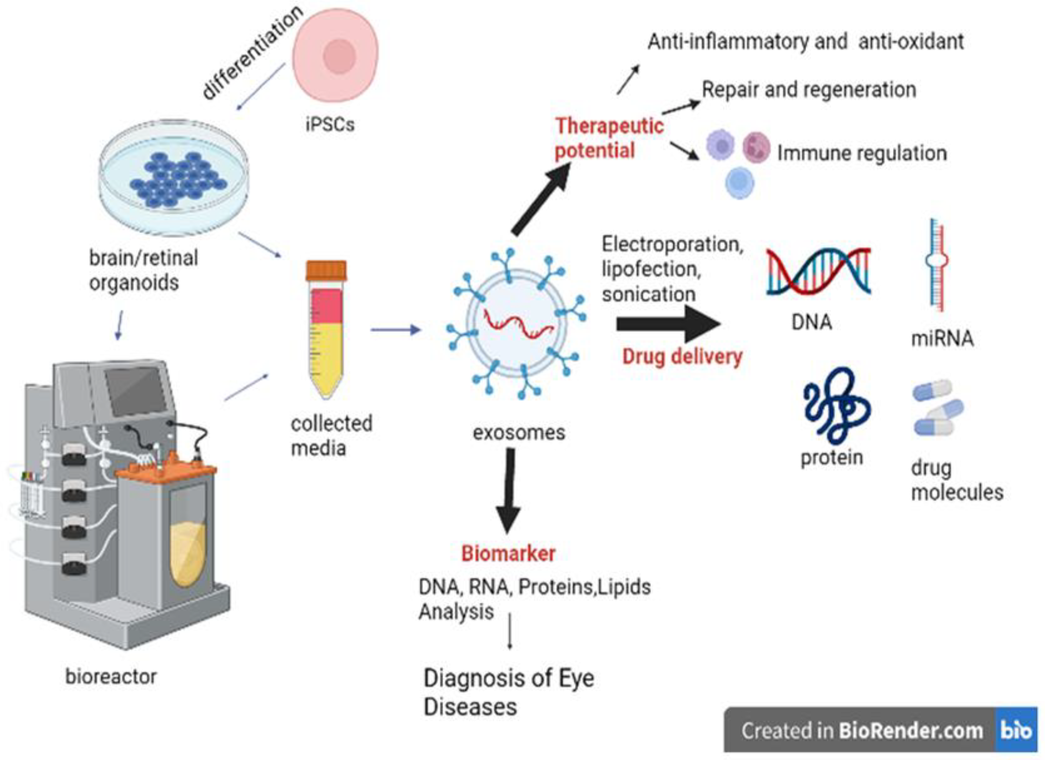 Cells 11 03429 g005 Cells 11 03429 g005