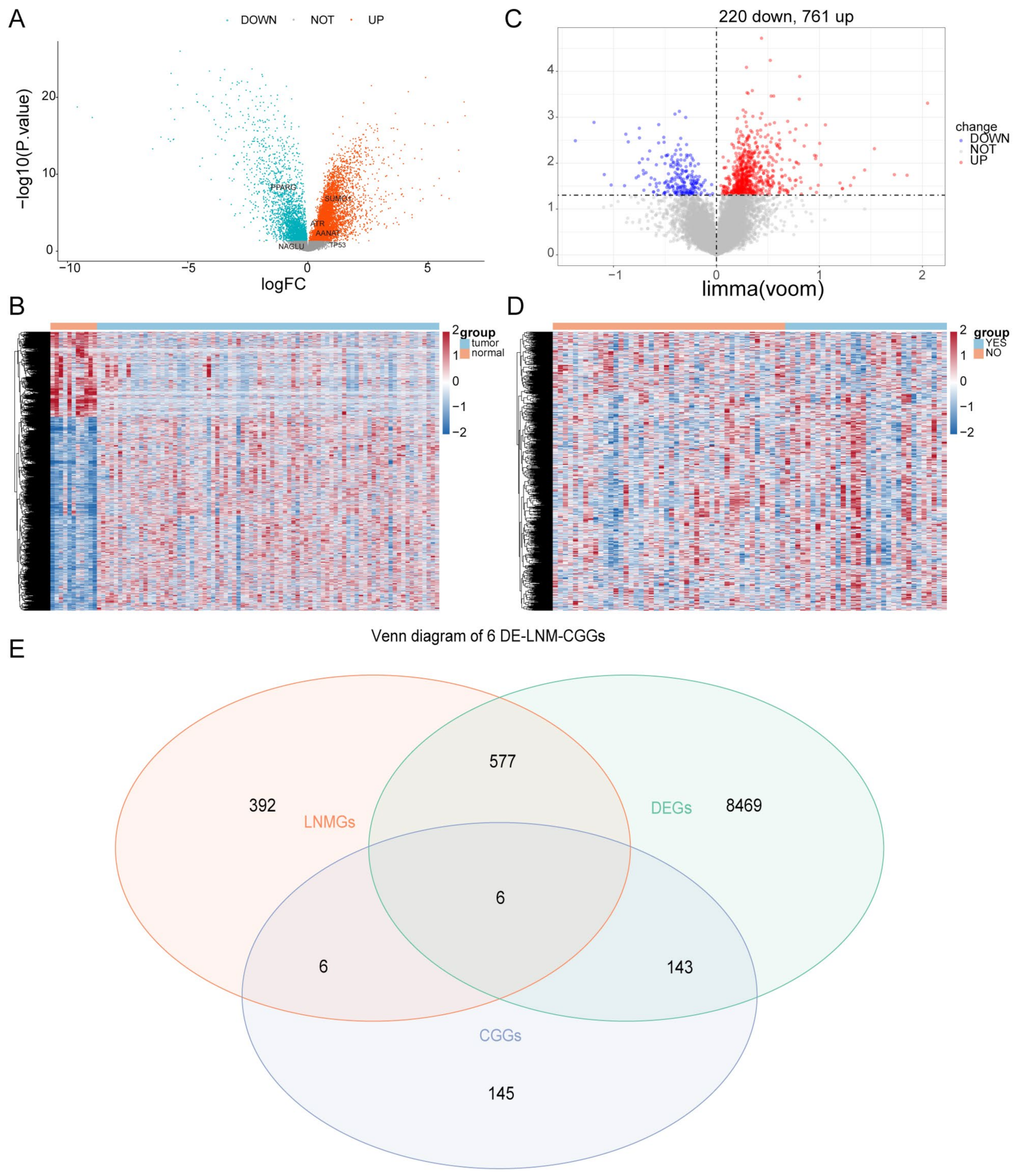 Cells 11 03432 g001 Cells 11 03432 g001