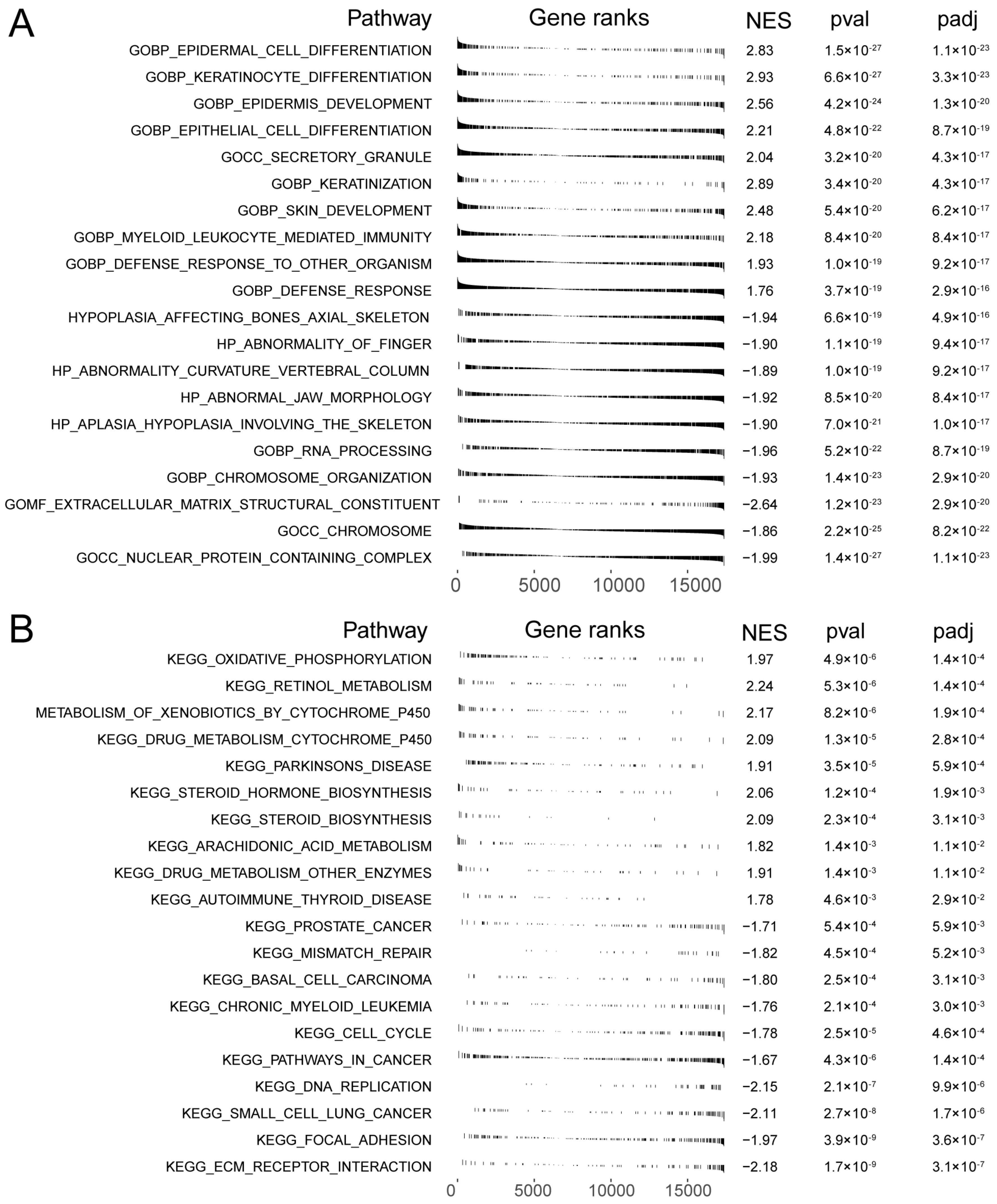 Cells 11 03432 g007 Cells 11 03432 g007