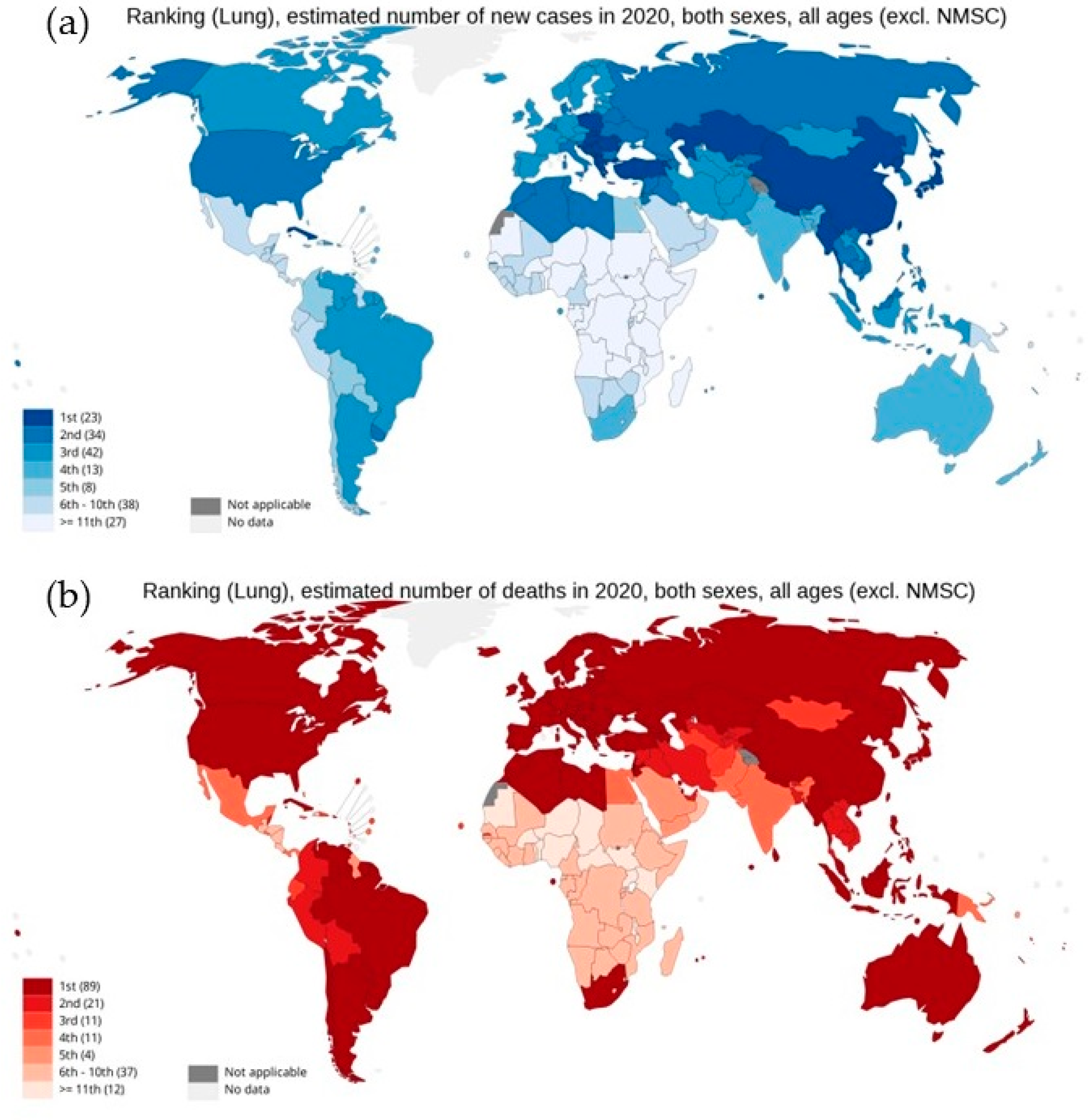 Cells 11 03433 g001 Cells 11 03433 g001