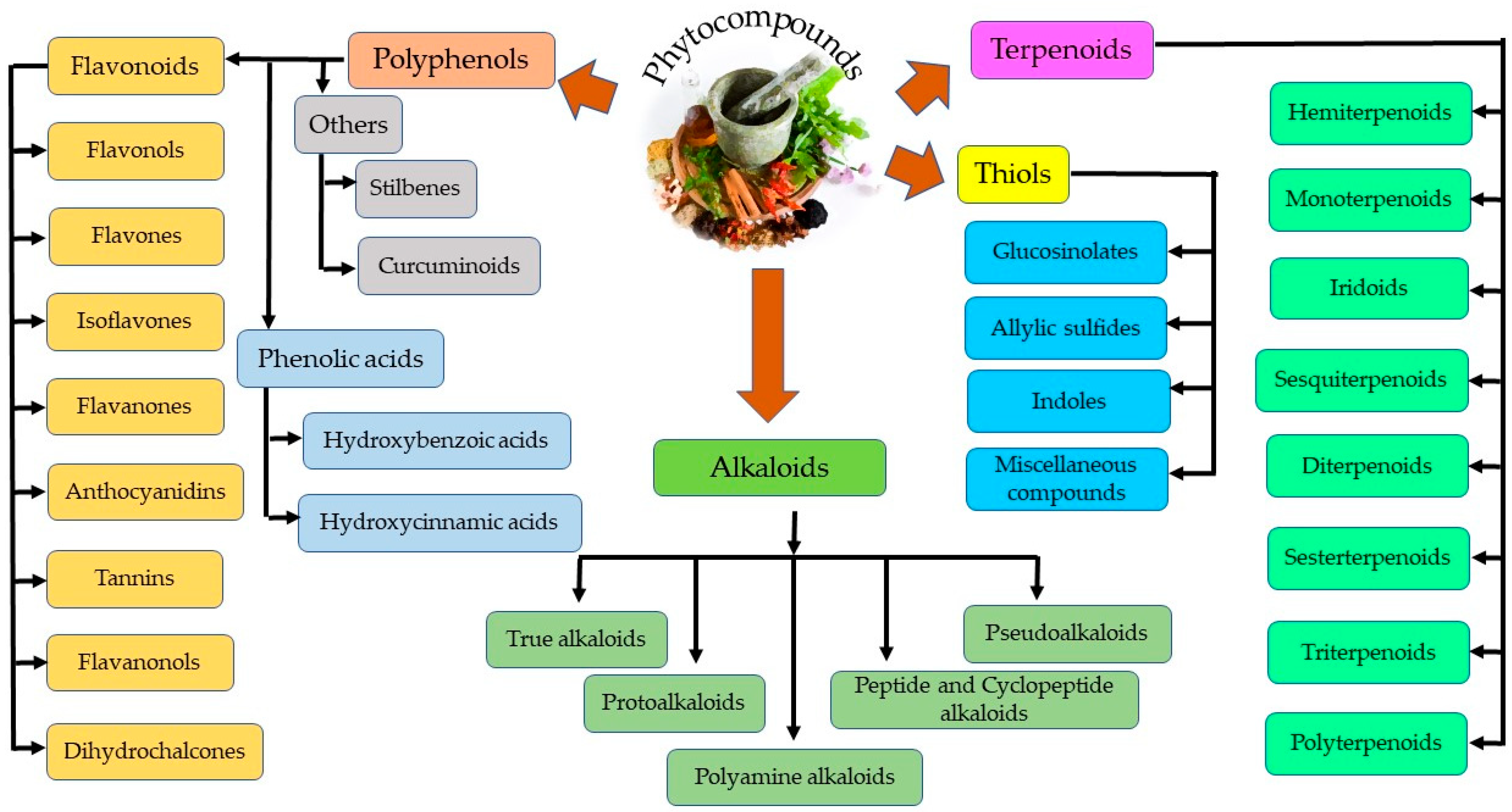Cells 11 03433 g002 Cells 11 03433 g002