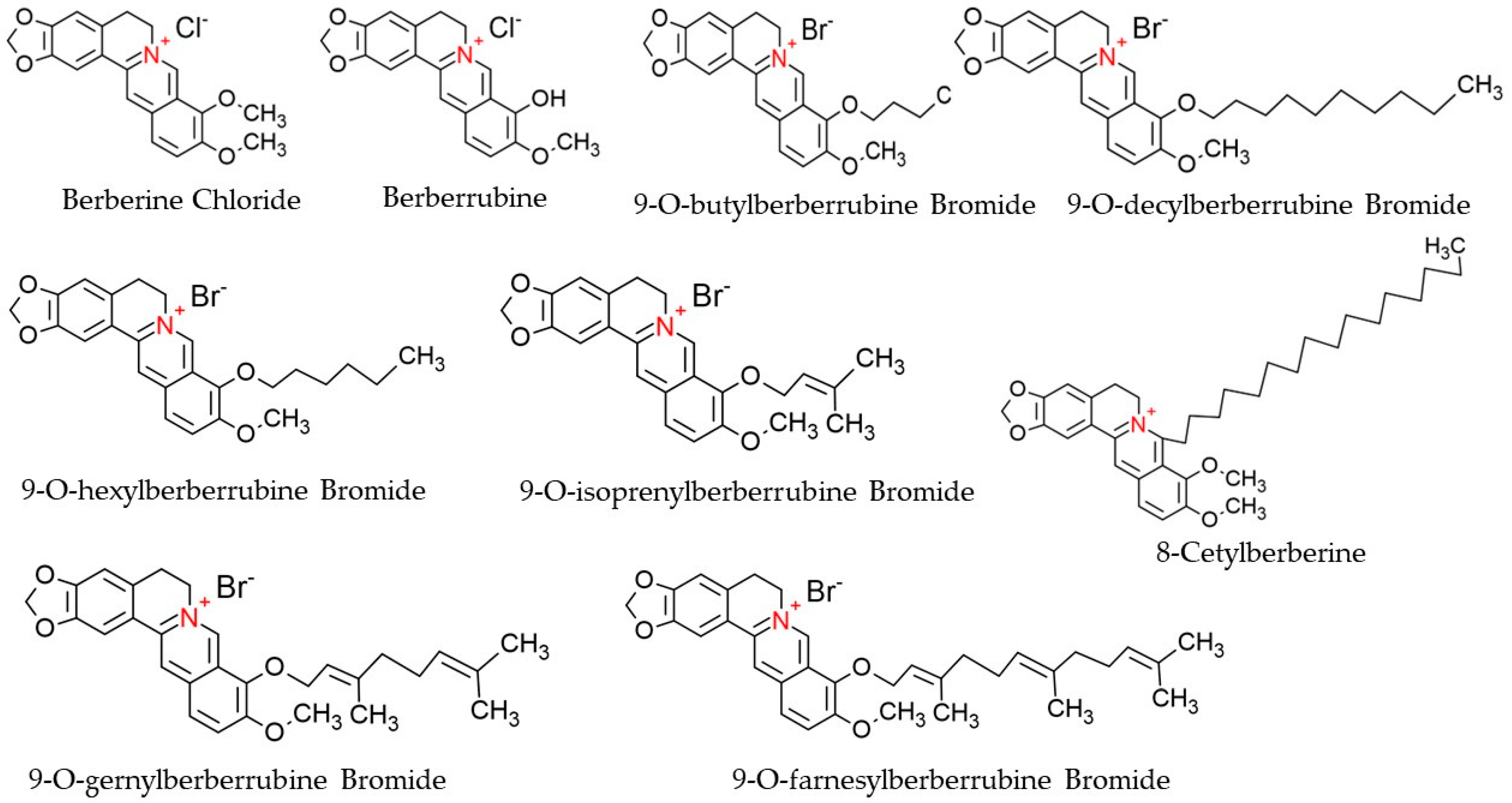 Cells 11 03433 g003 Cells 11 03433 g003