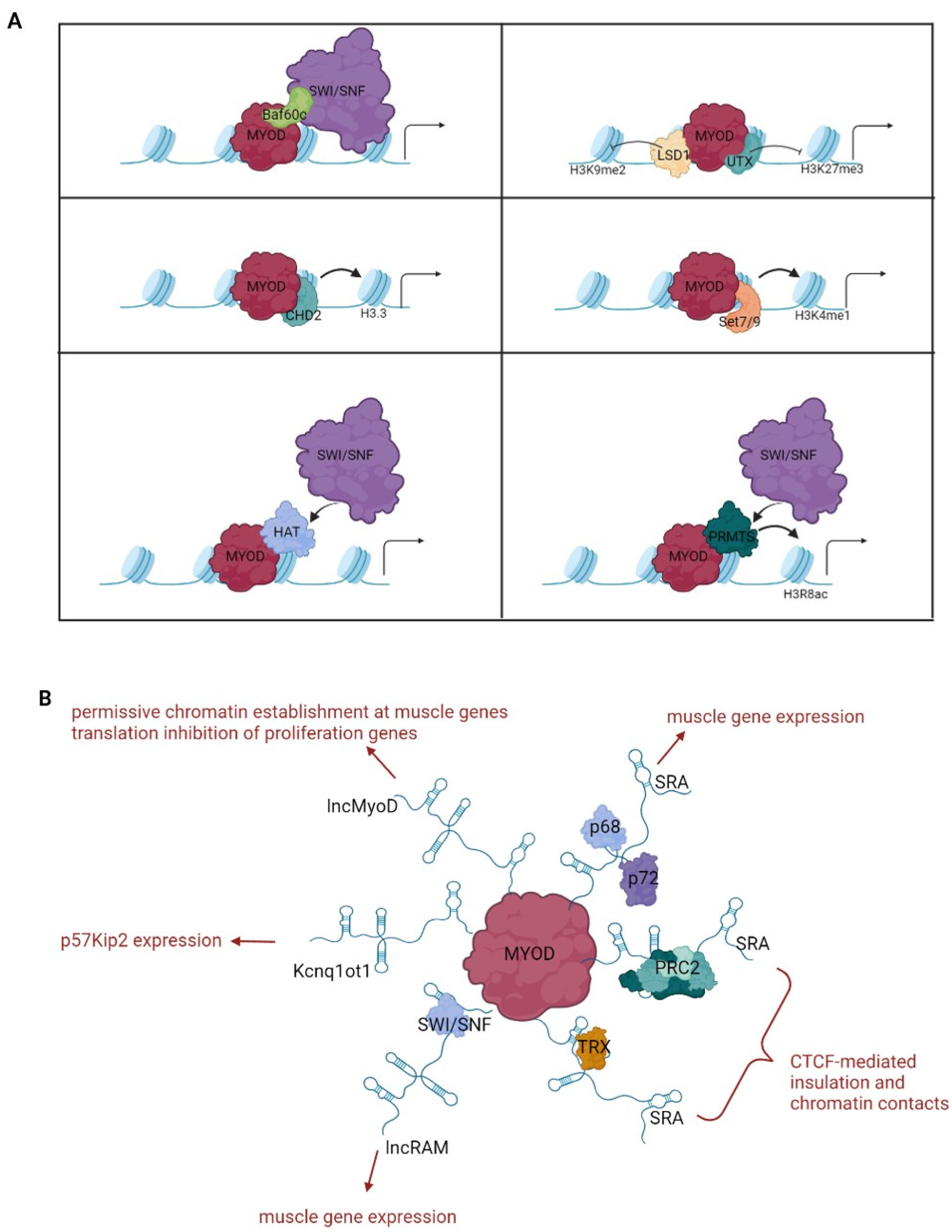 Cells 11 03435 g002 Cells 11 03435 g002