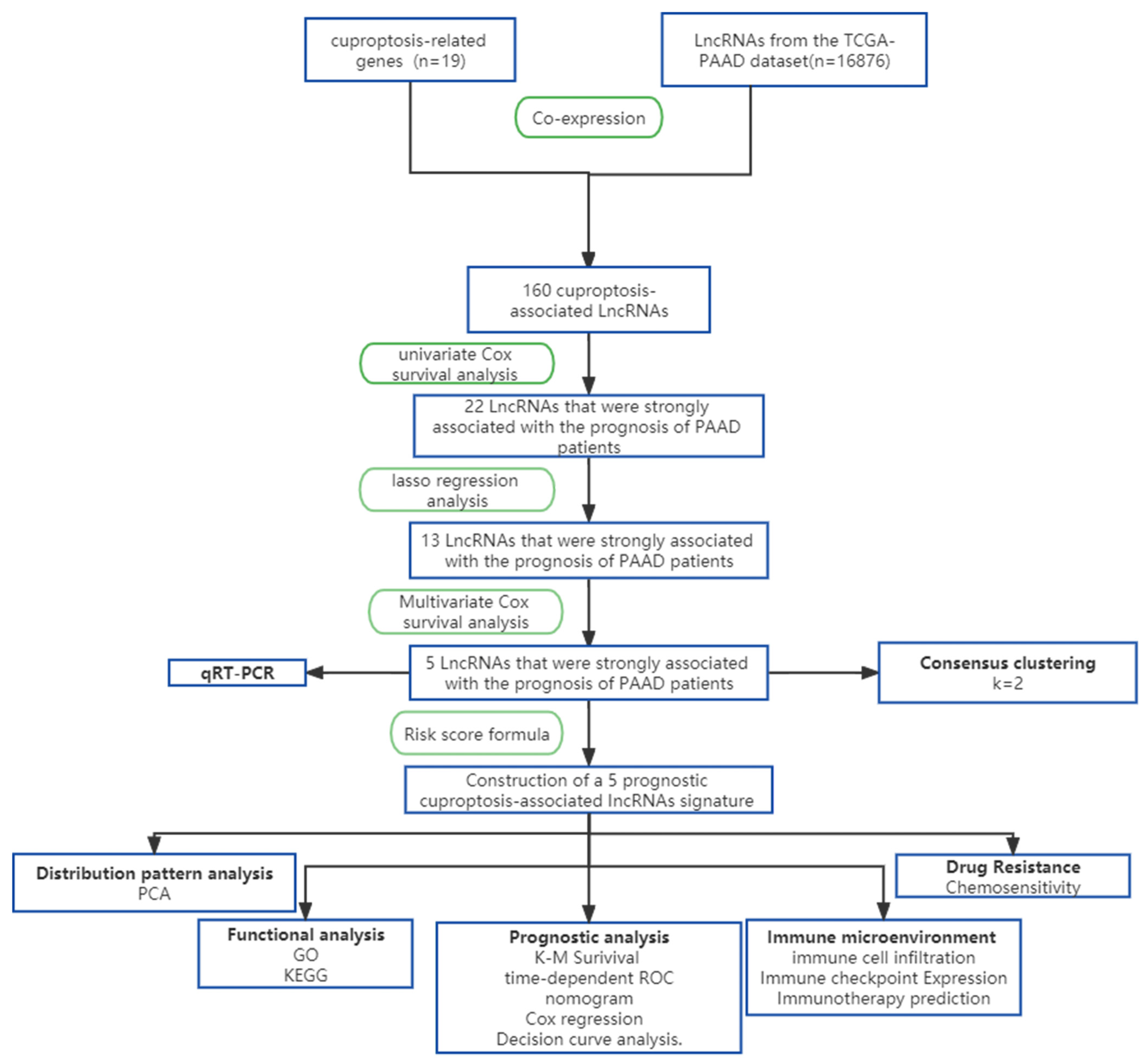 Cells 11 03436 g001 Cells 11 03436 g001