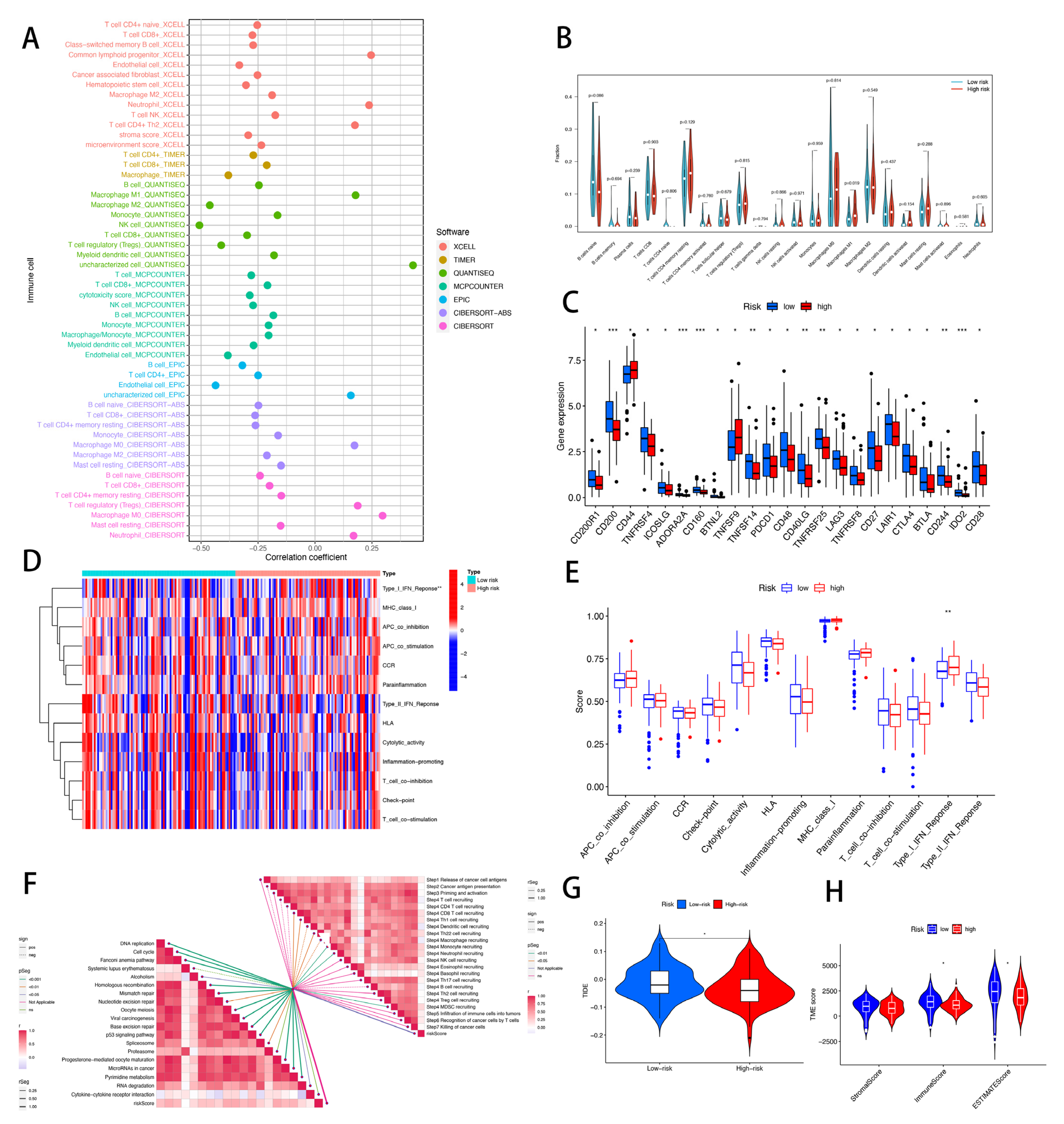 Cells 11 03436 g010 Cells 11 03436 g010