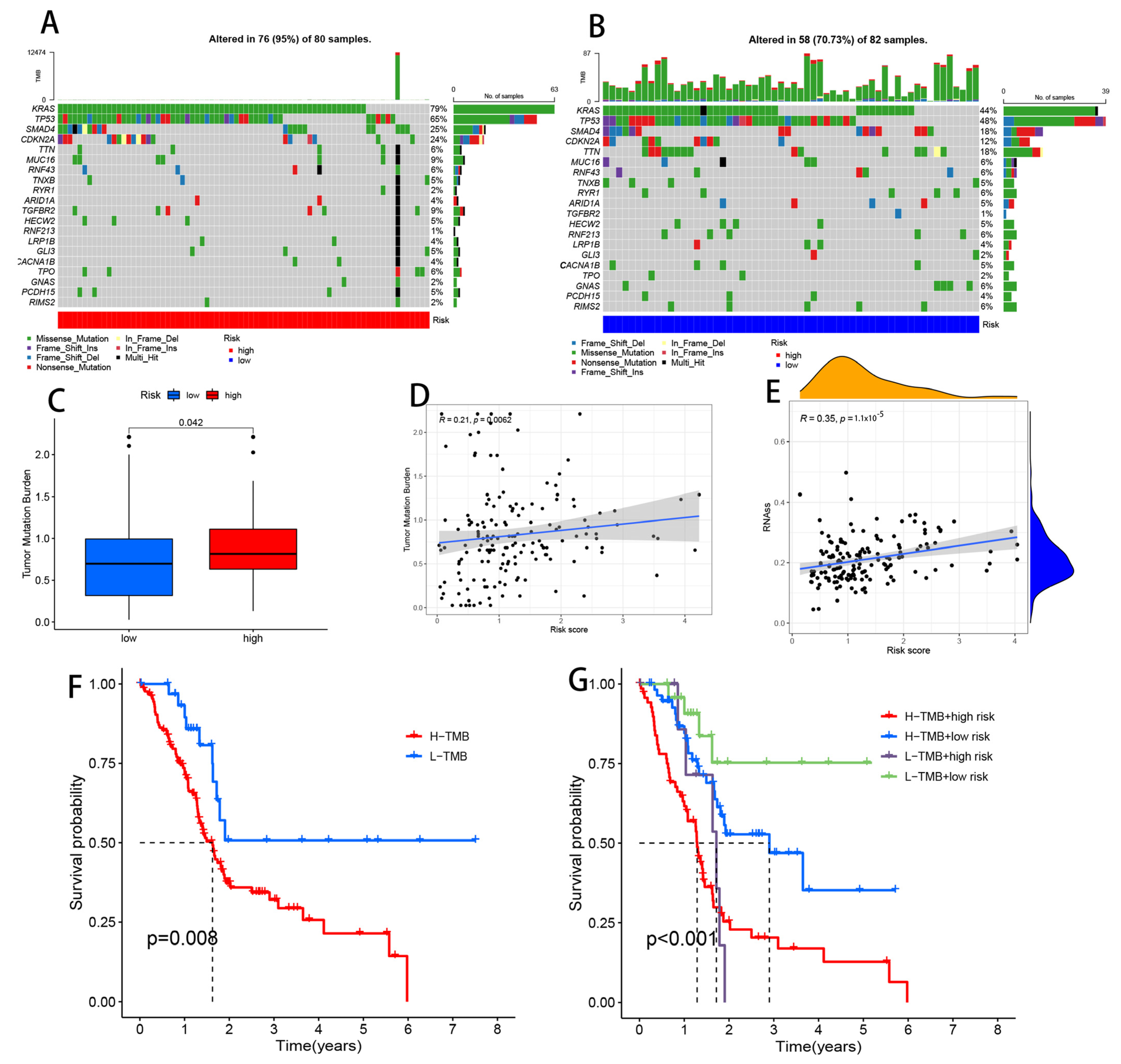 Cells 11 03436 g012 Cells 11 03436 g012