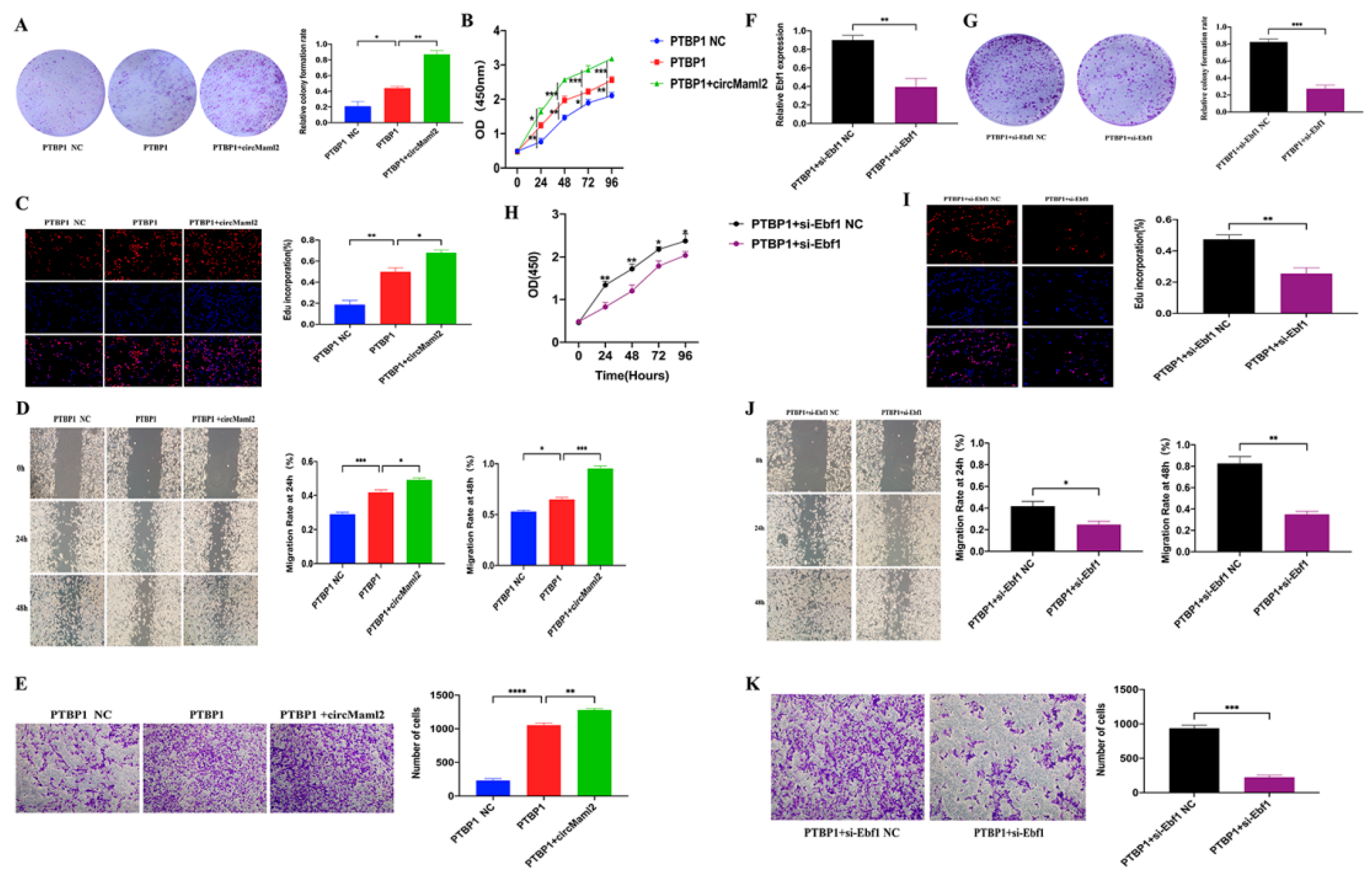 Cells 11 03460 g004 Cells 11 03460 g004