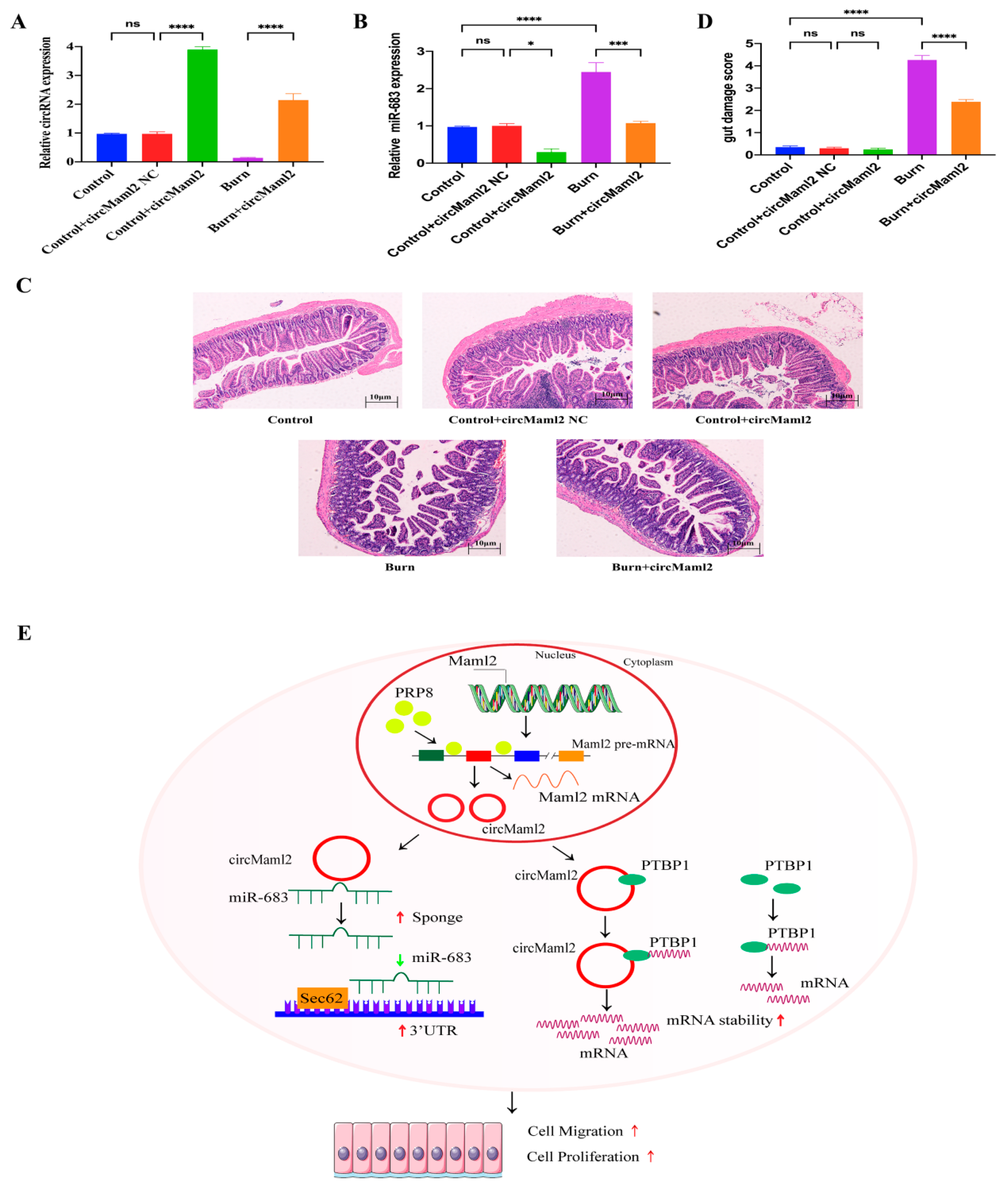 Cells 11 03460 g008 Cells 11 03460 g008