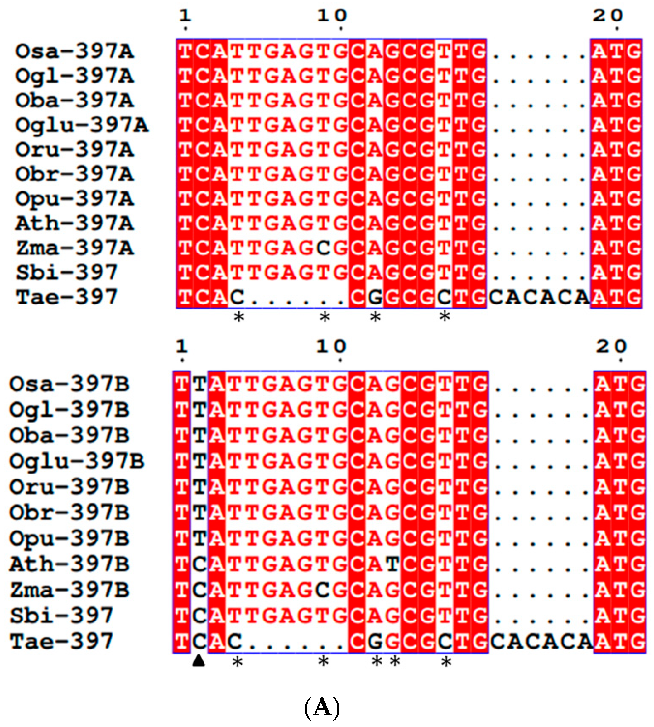 Cells 11 03461 g002a Cells 11 03461 g002a