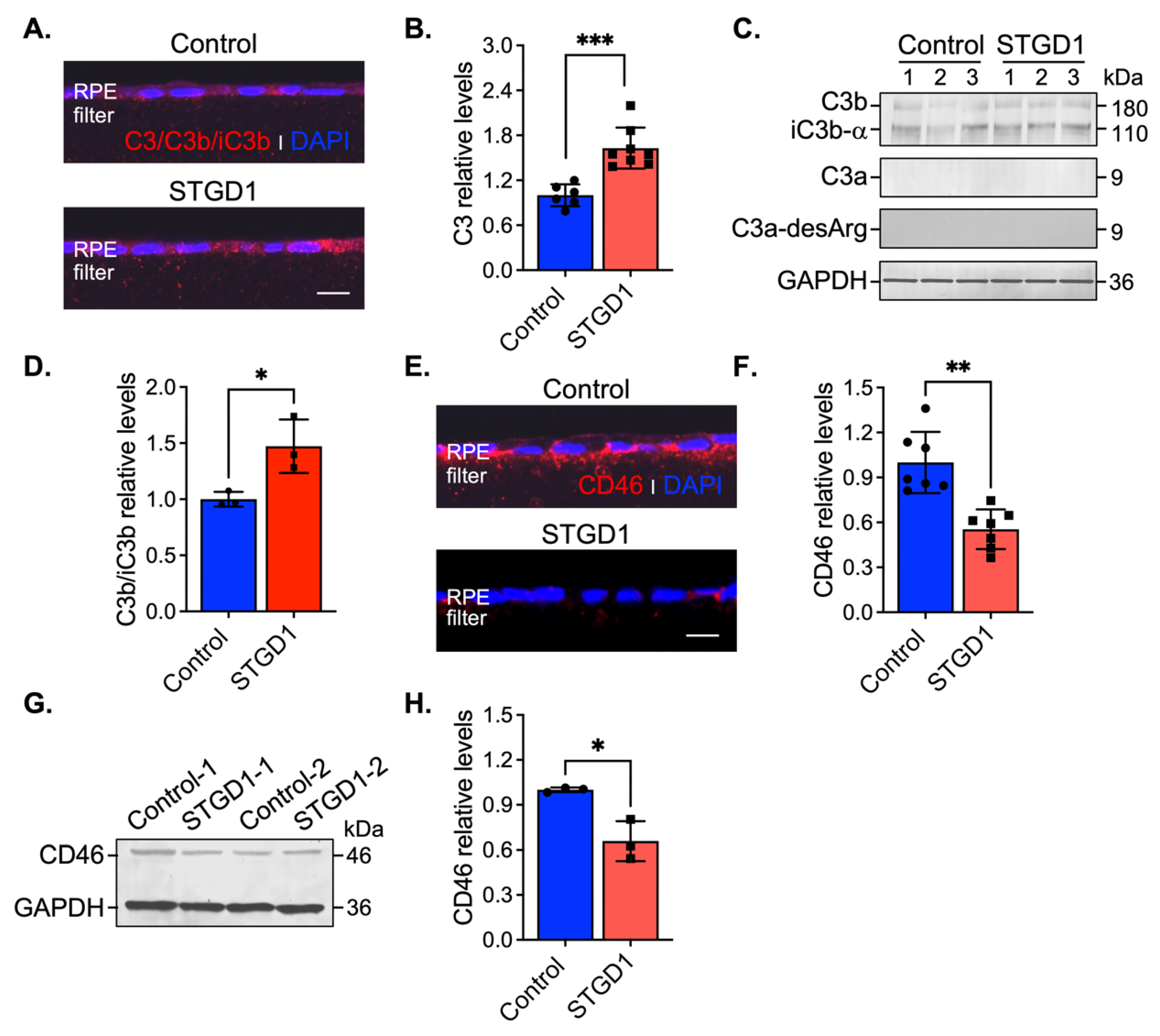 Cells 11 03462 g004 Cells 11 03462 g004