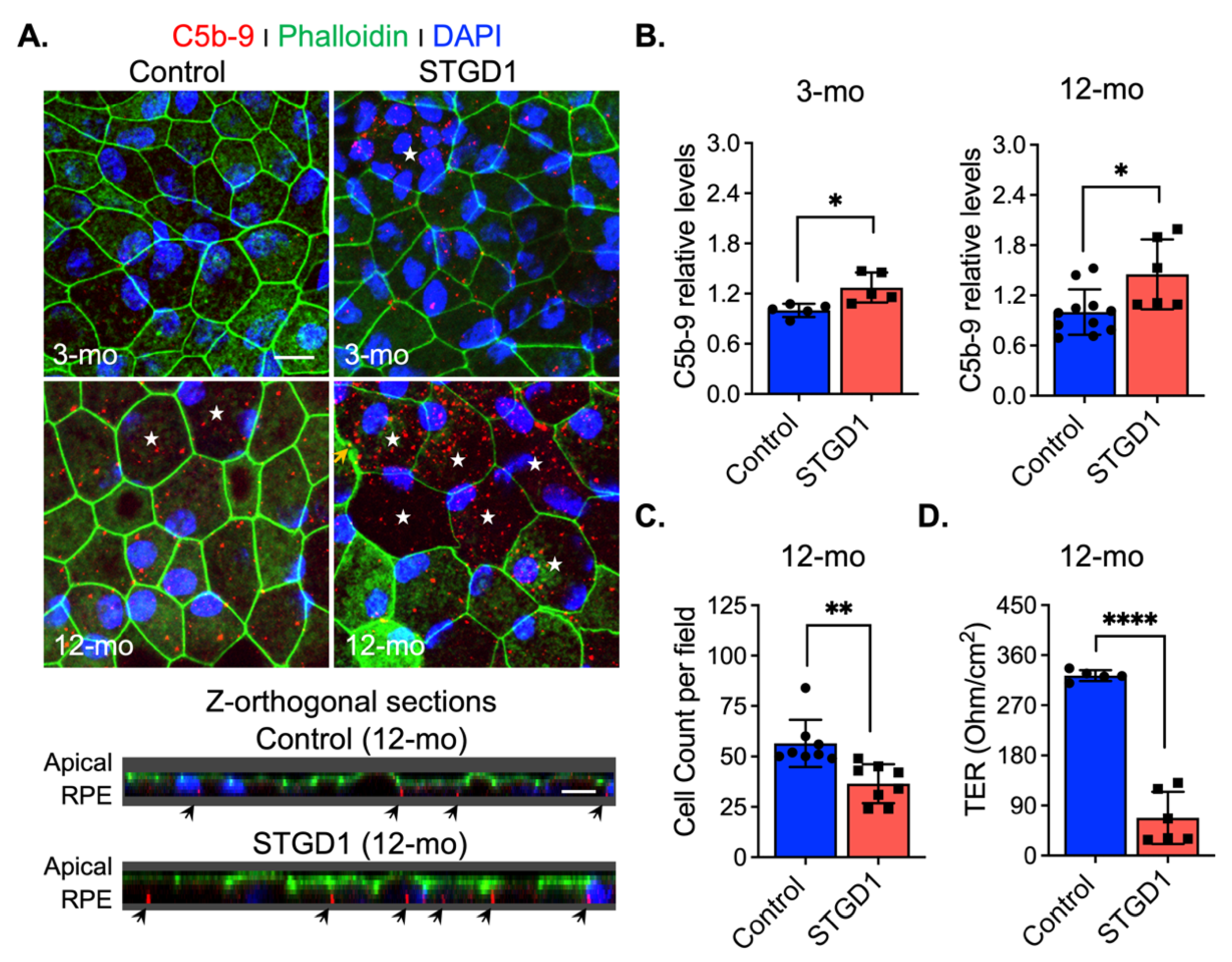 Cells 11 03462 g005 Cells 11 03462 g005