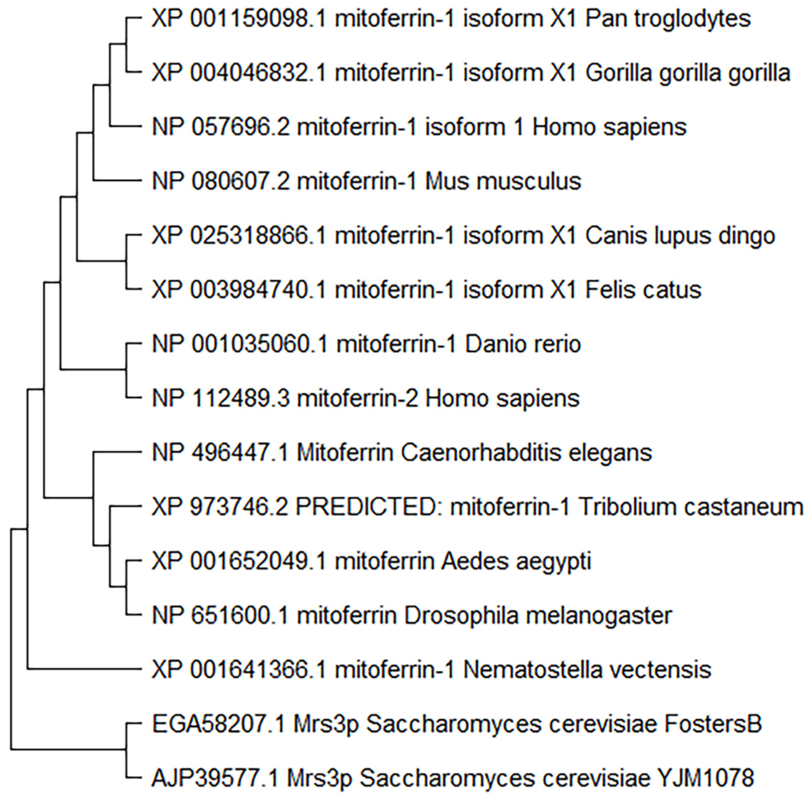 Cells 11 03464 g003 Cells 11 03464 g003