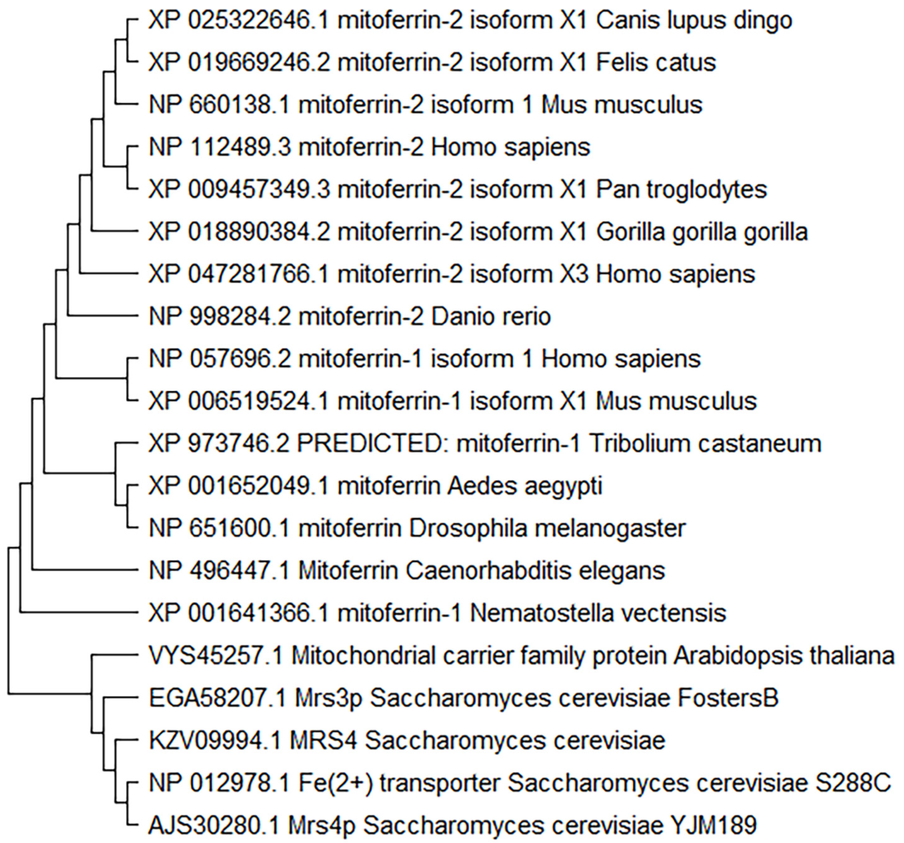 Cells 11 03464 g004 Cells 11 03464 g004