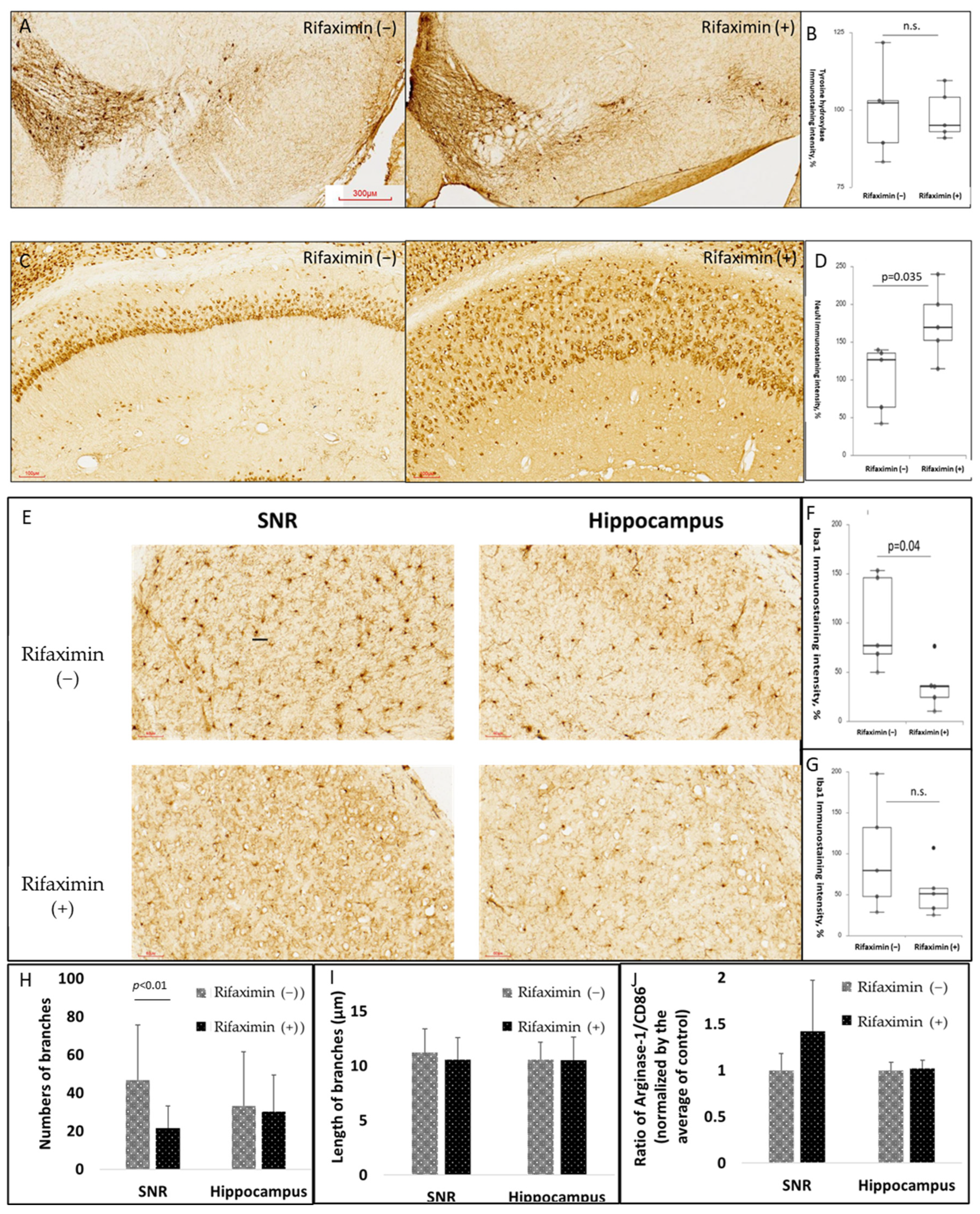 Cells 11 03468 g004 Cells 11 03468 g004