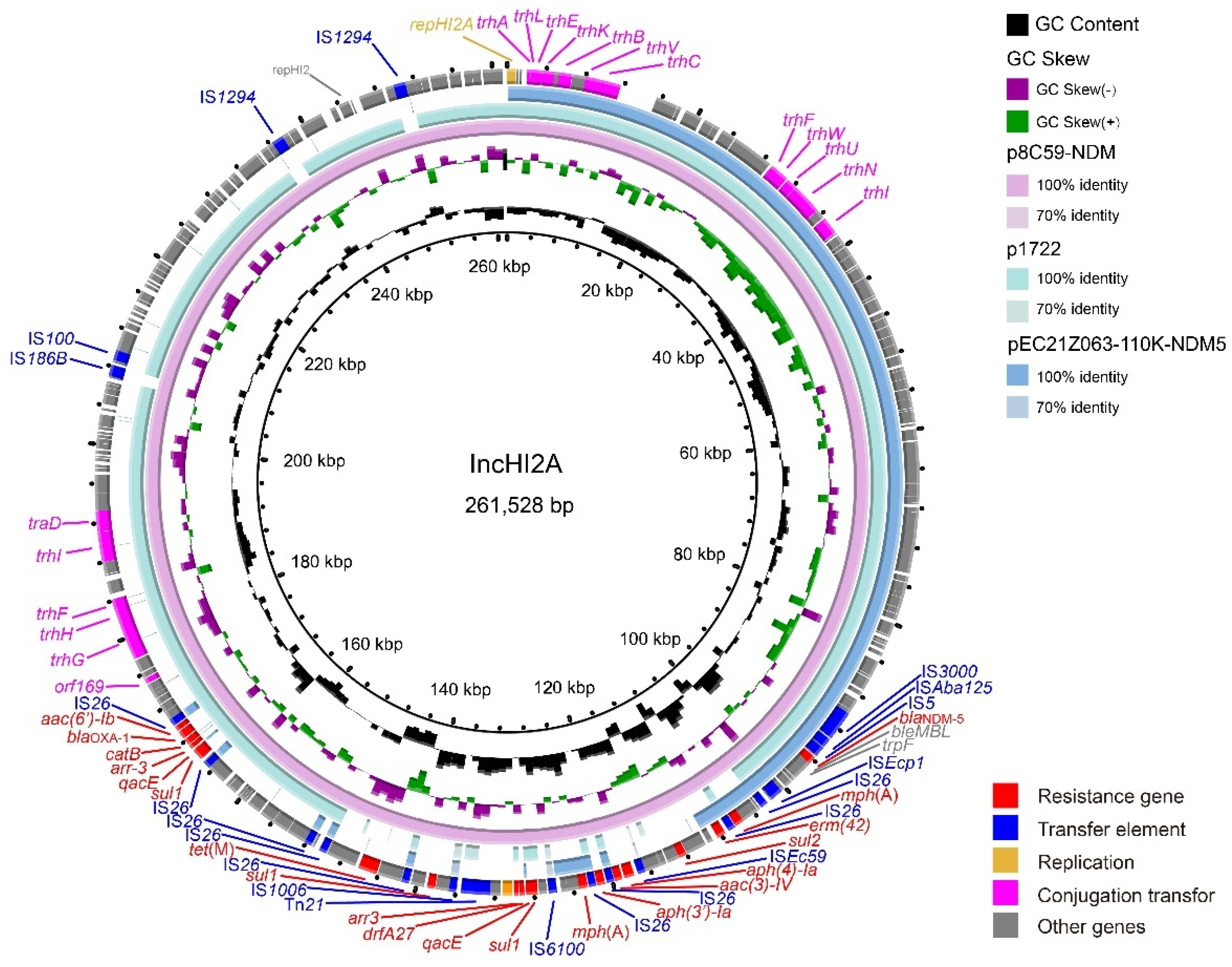 Cells 11 03480 g007 Cells 11 03480 g007