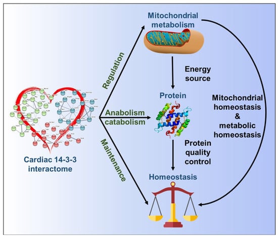 https://www.mdpi.com/cells/cells-11-03496/article_deploy/html/images/cells-11-03496-g009-550.jpg