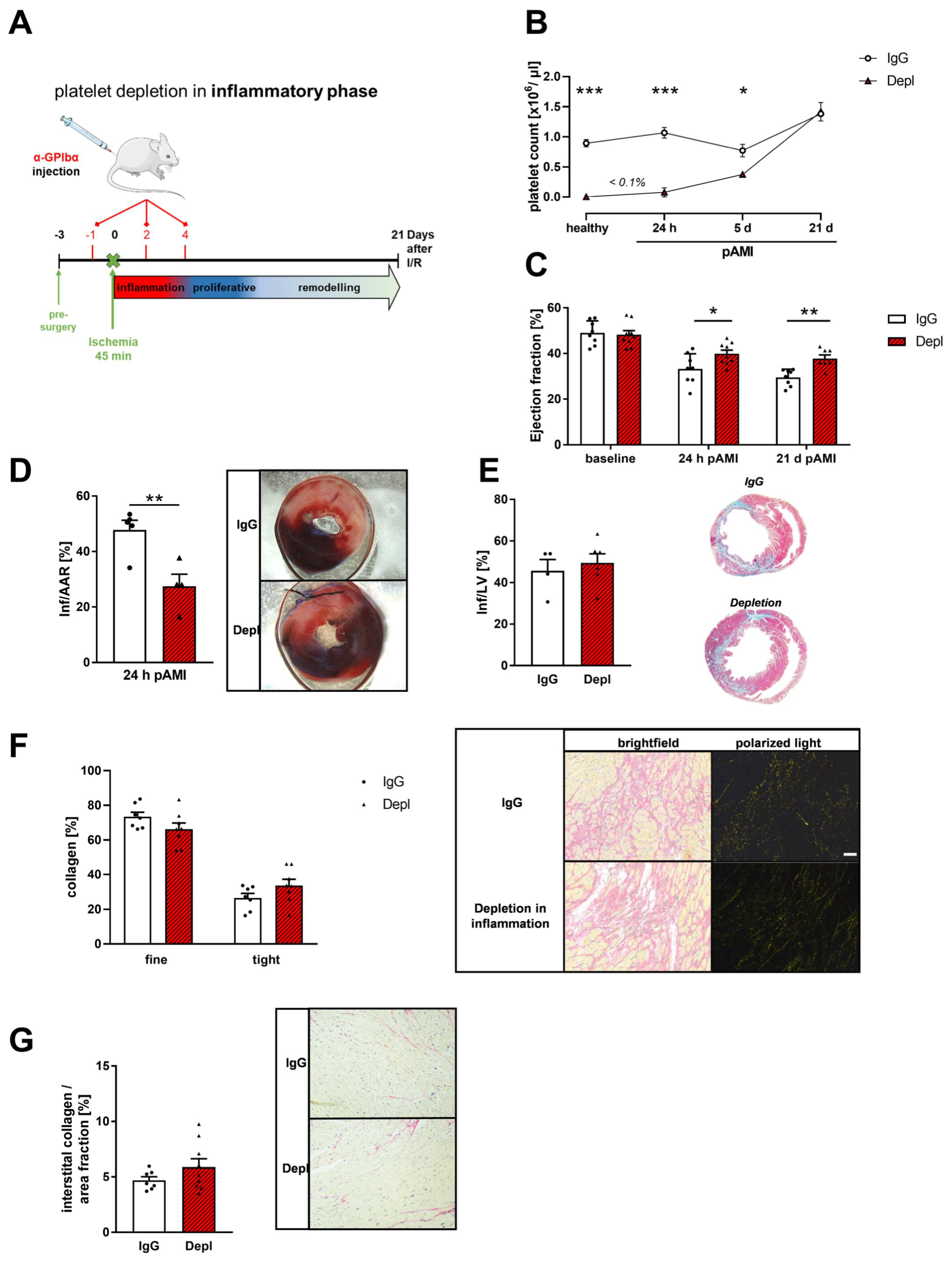 Cells 11 03500 g002 Cells 11 03500 g002