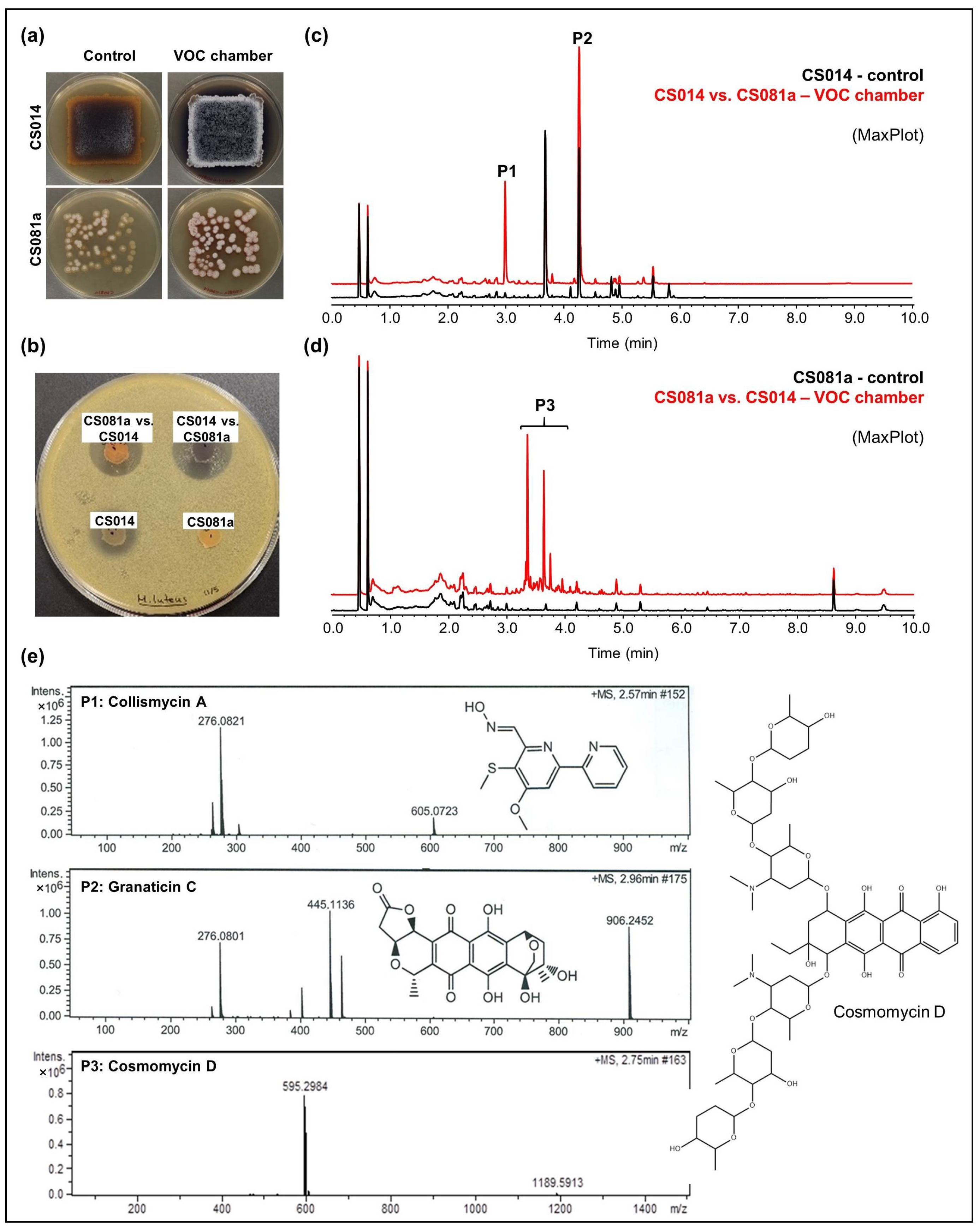 Cells 11 03510 g003 Cells 11 03510 g003