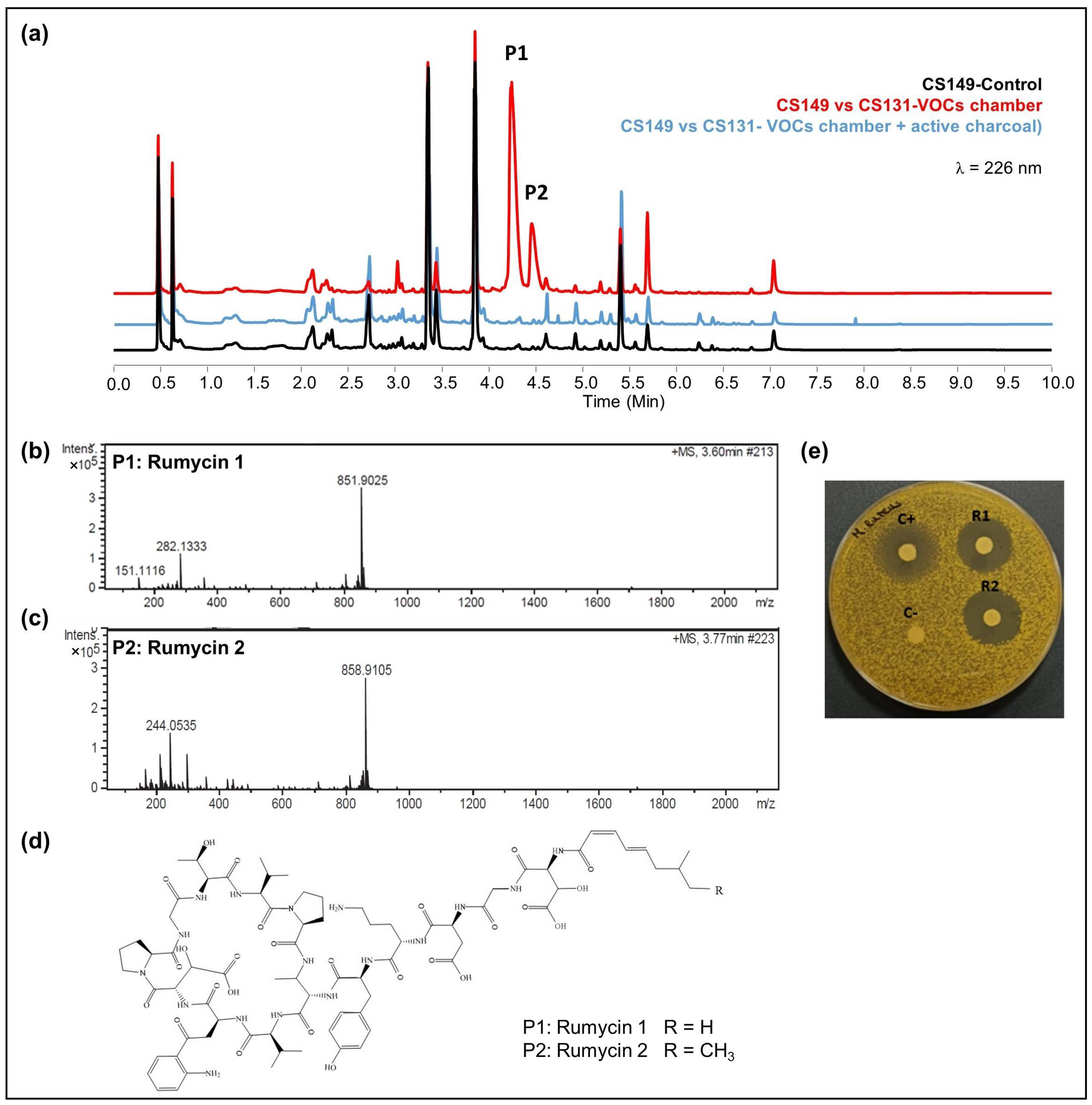 Cells 11 03510 g005 Cells 11 03510 g005