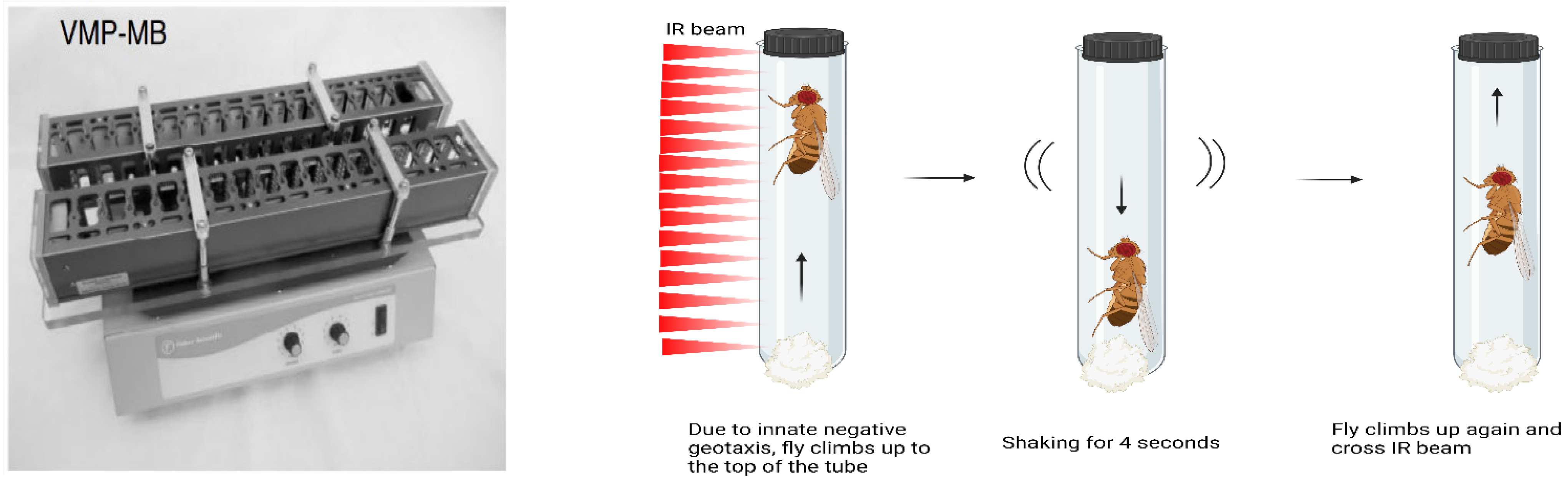 Cells 11 03528 g001 Cells 11 03528 g001
