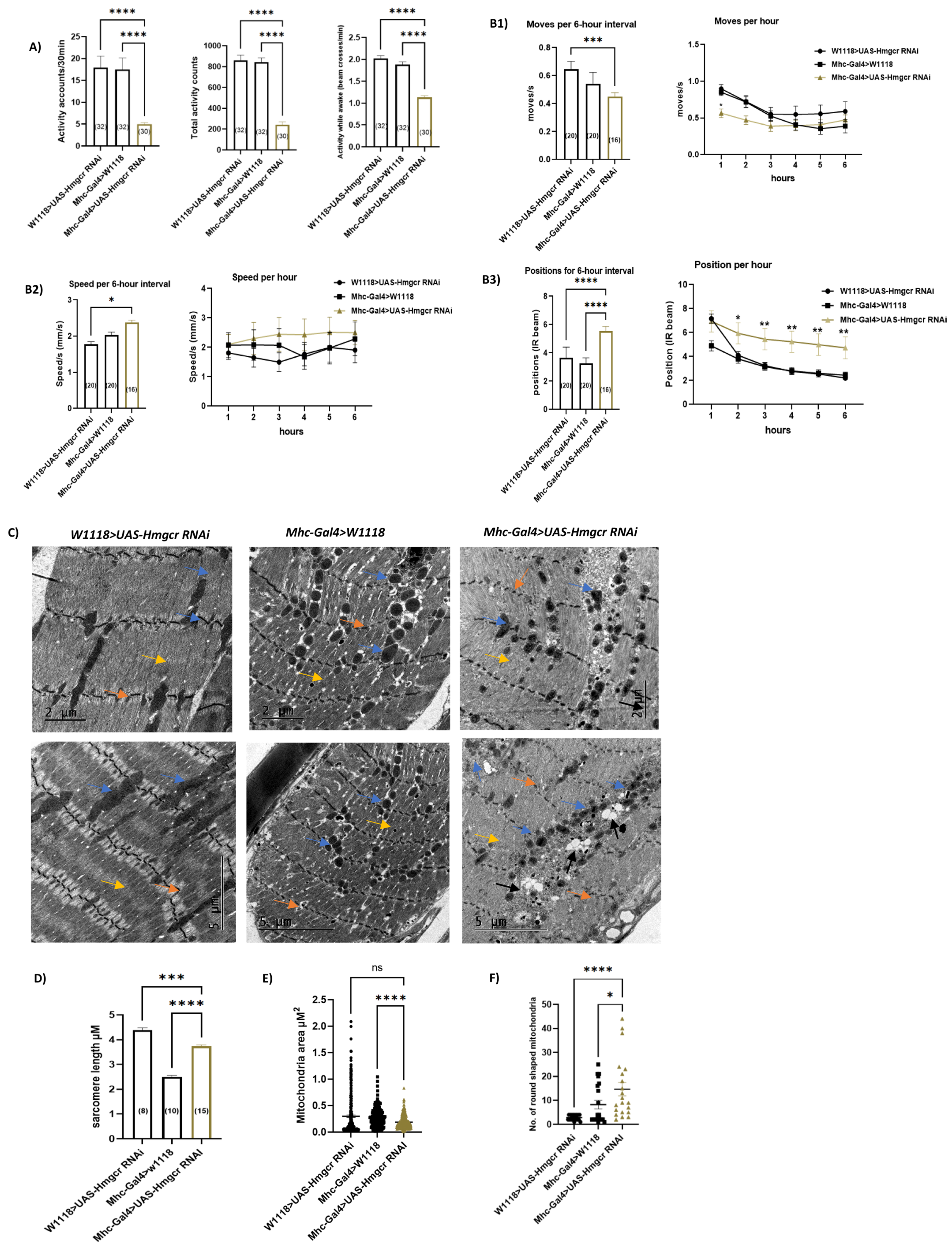 Cells 11 03528 g004a Cells 11 03528 g004a