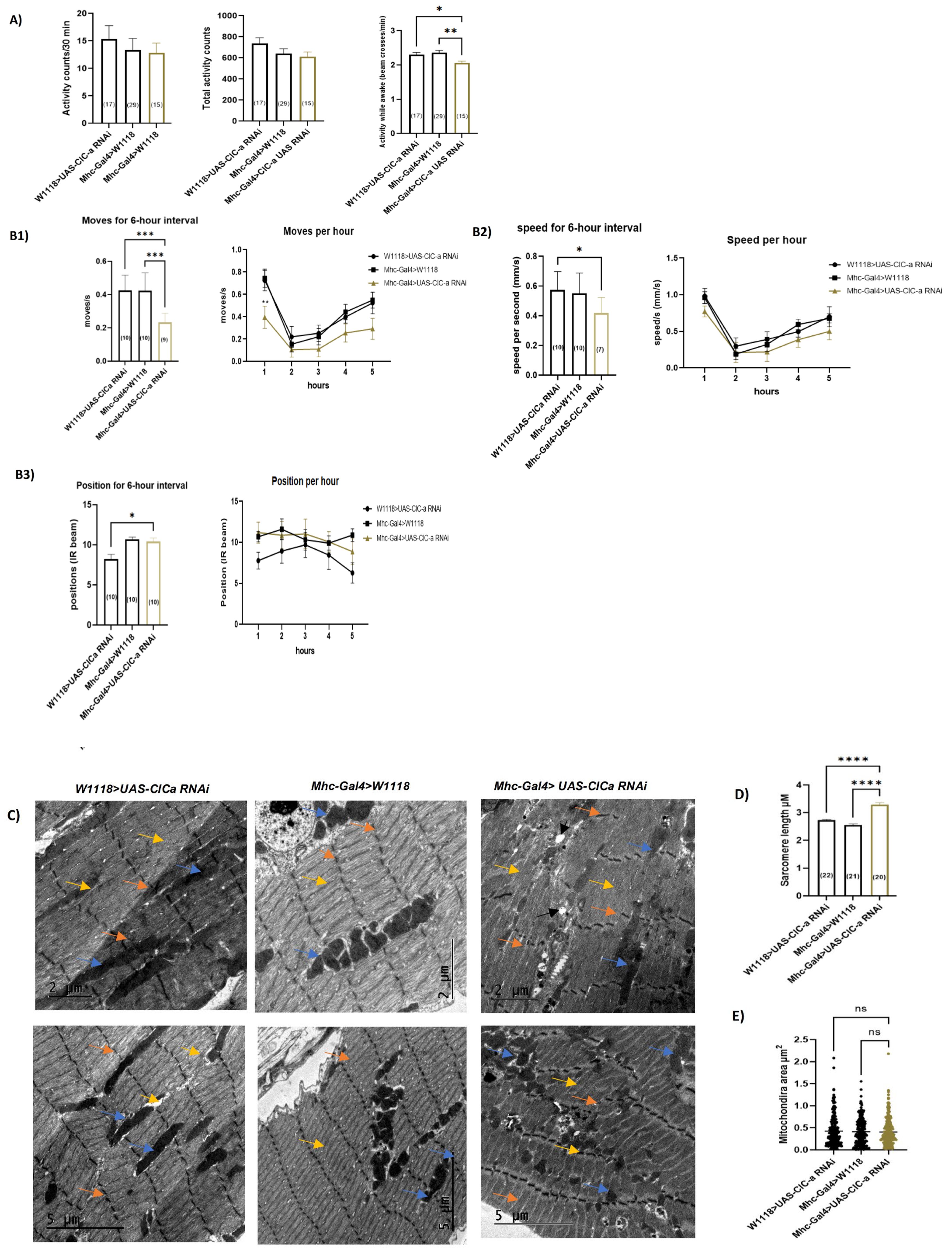 Cells 11 03528 g006a Cells 11 03528 g006a